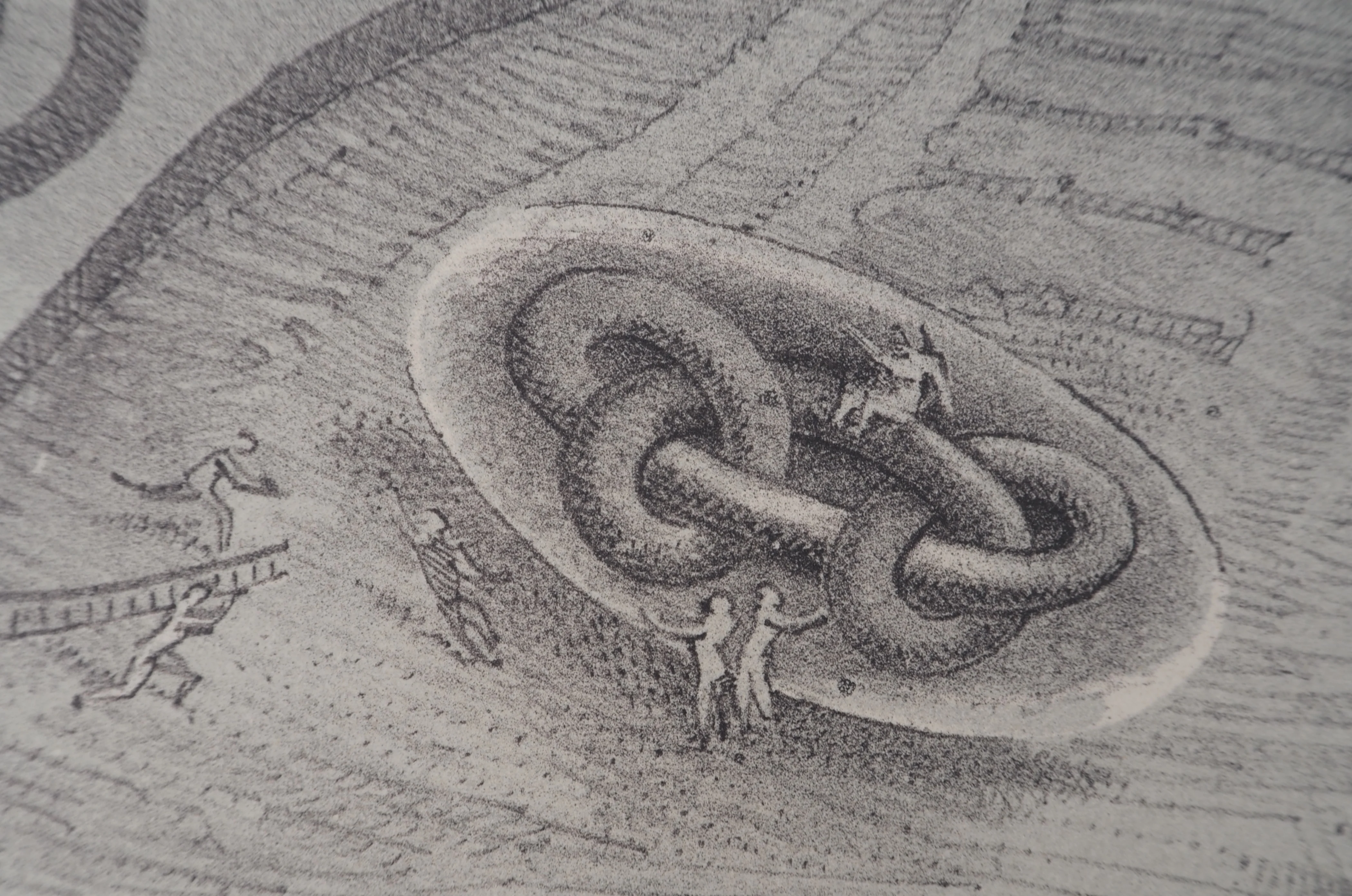 Albert FLOCON : Nœuds inversifs II, Lithographie originale signée - Image 6