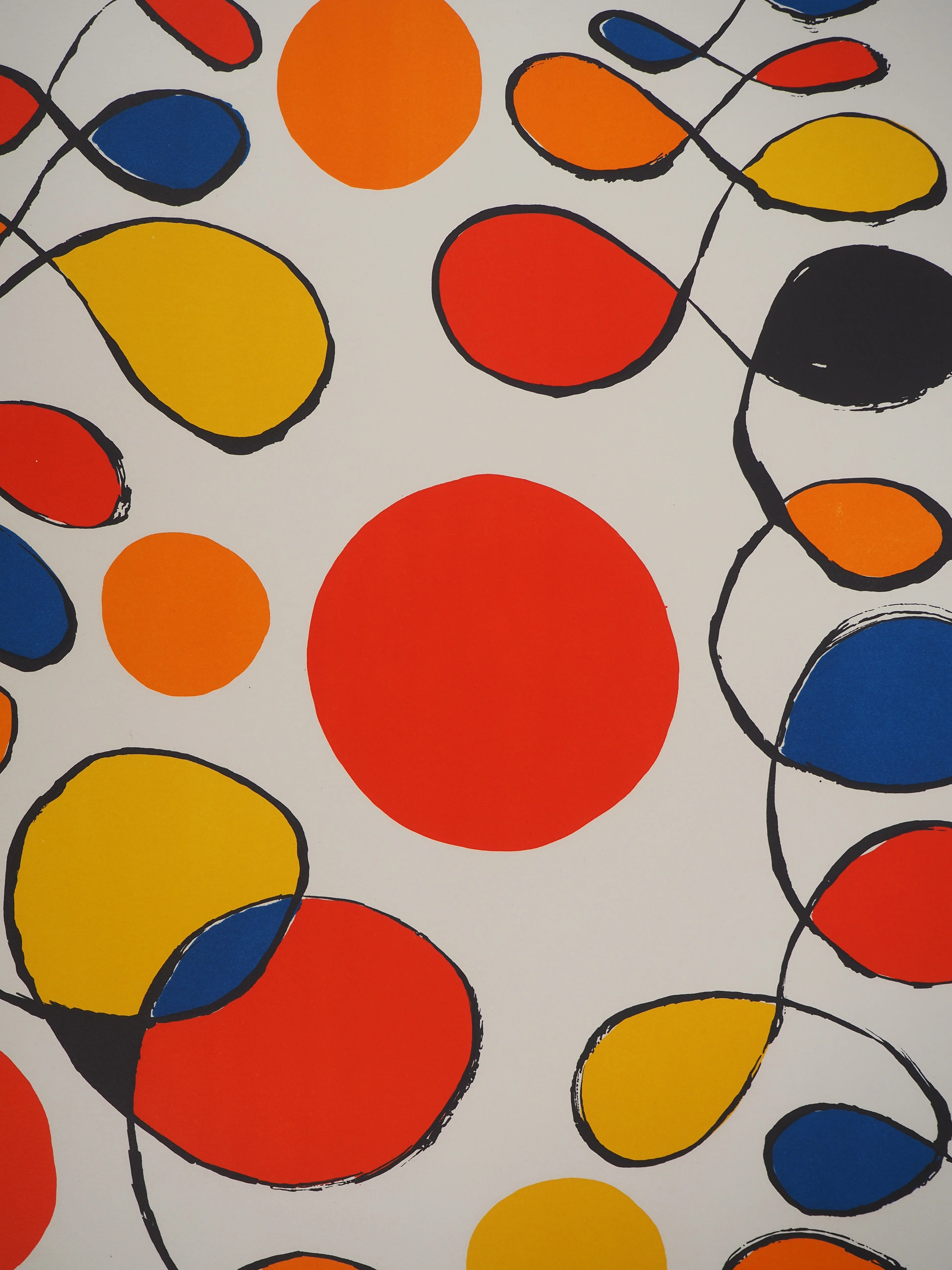 Alexander CALDER : Guirlandes de couleurs, Lithographie signée - Image 5