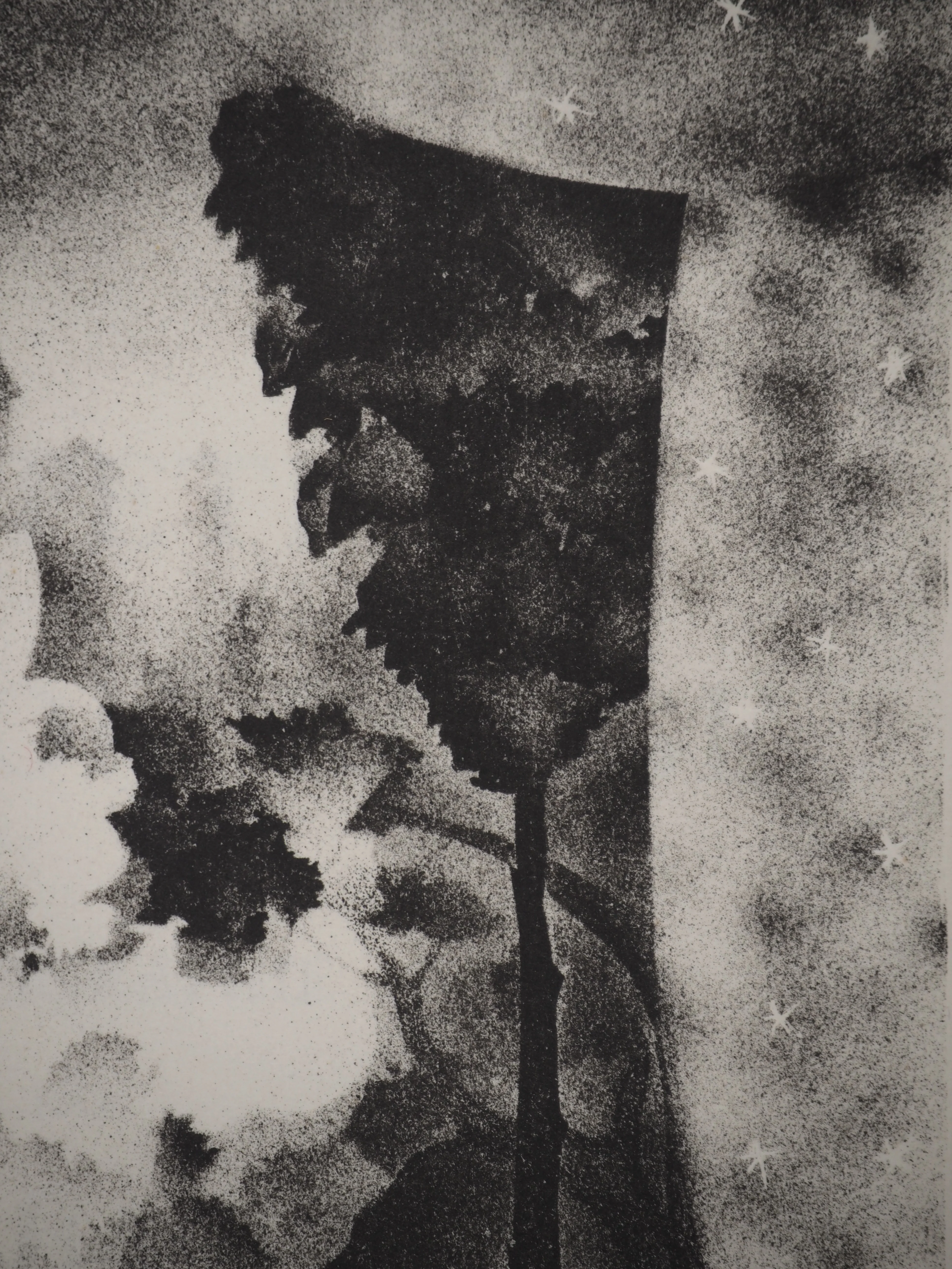 Alexandre ALEXEIEFF : La belle au bois dormant, Lithographie originale signée - Image 5
