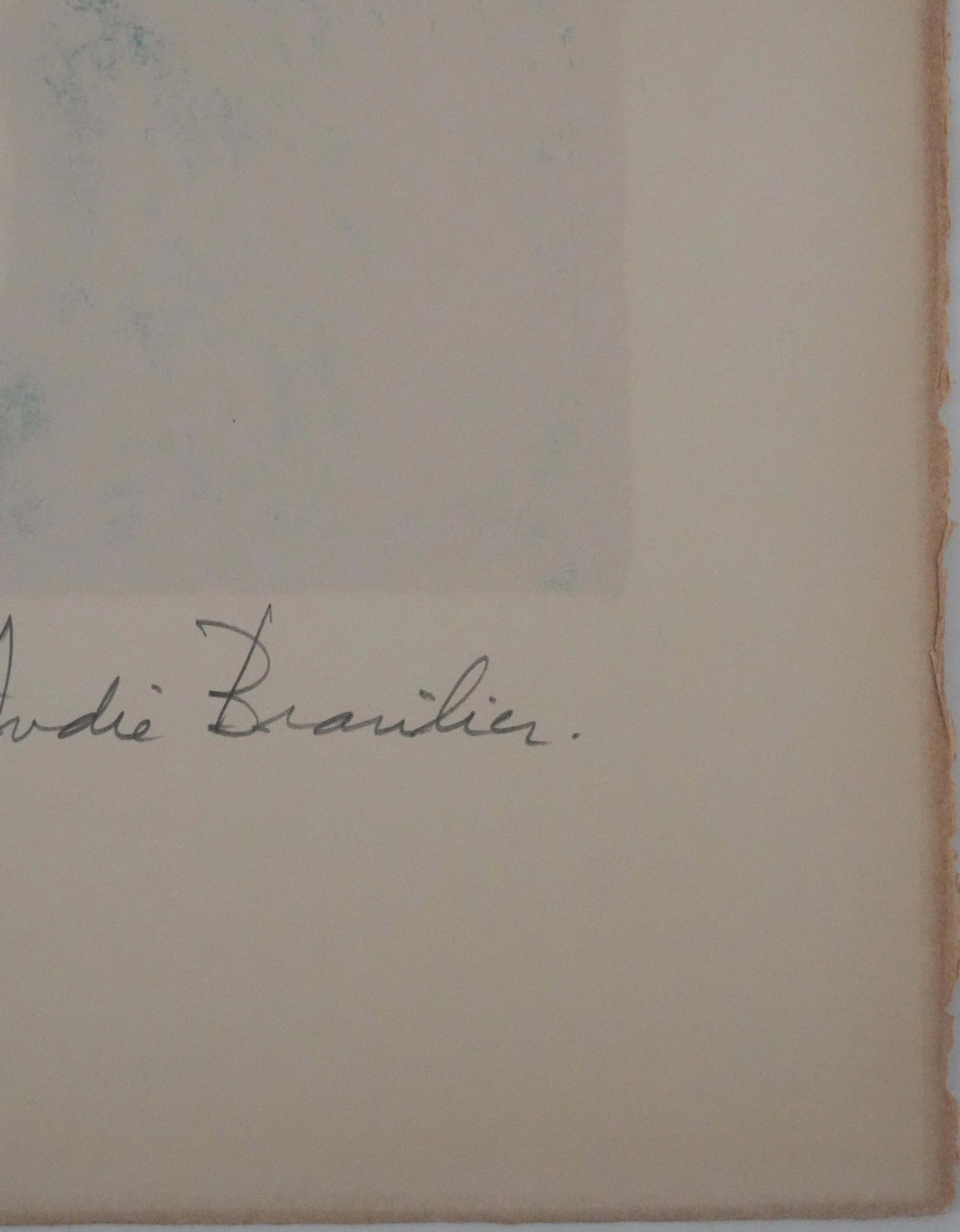 André BRASILIER : Fenêtre sur le parc, Lithographie originale signée - Image 7