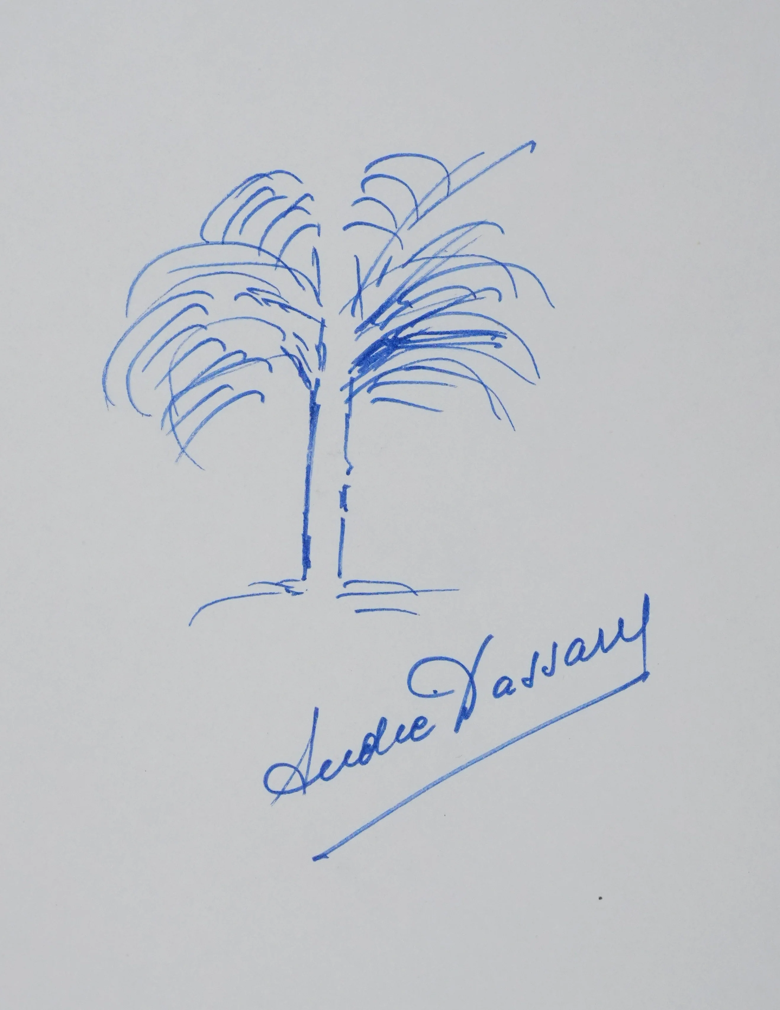 André DASSARY : L'arbre en chanson, Autographe et dessin original signé - Image 2