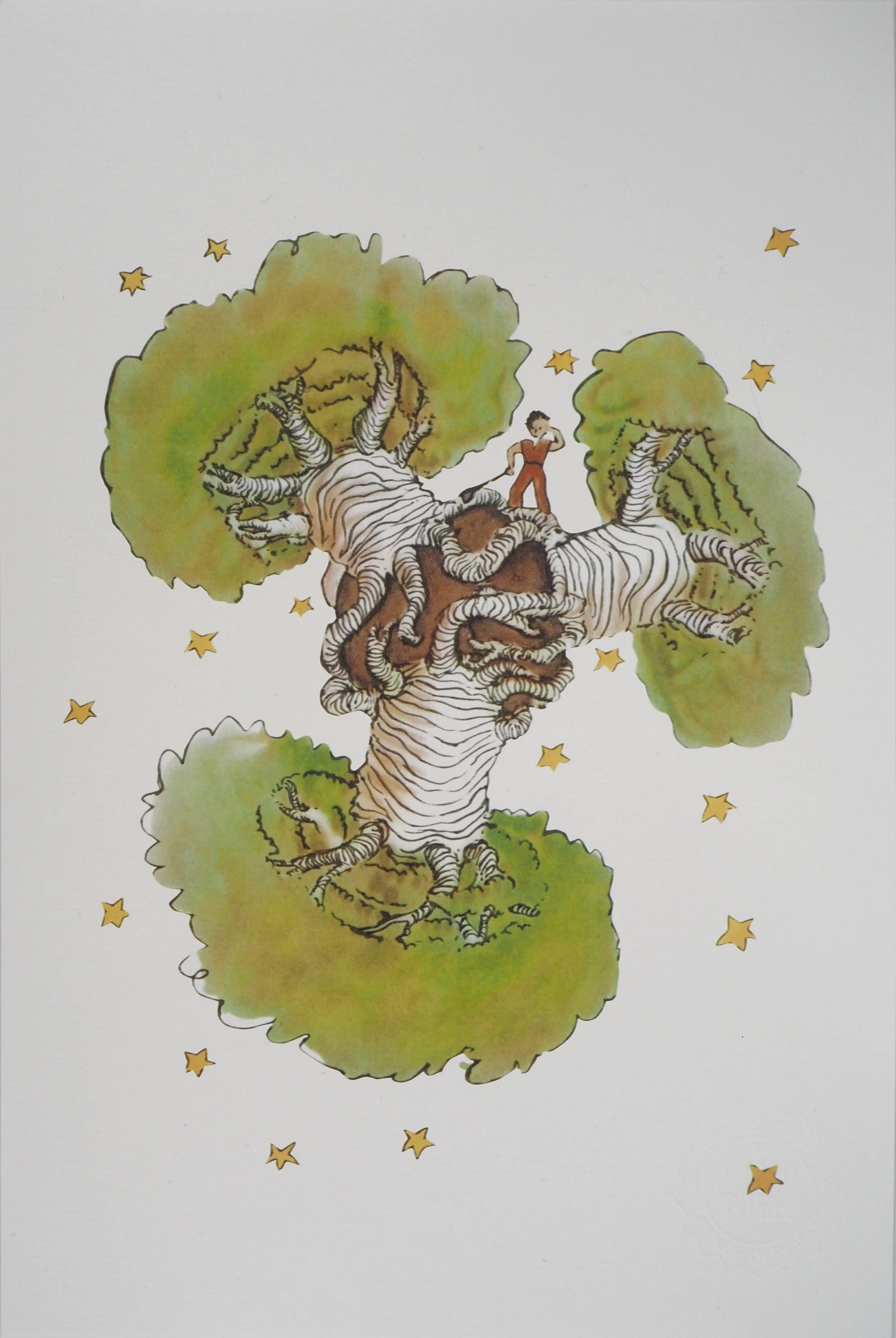 Miniature 1