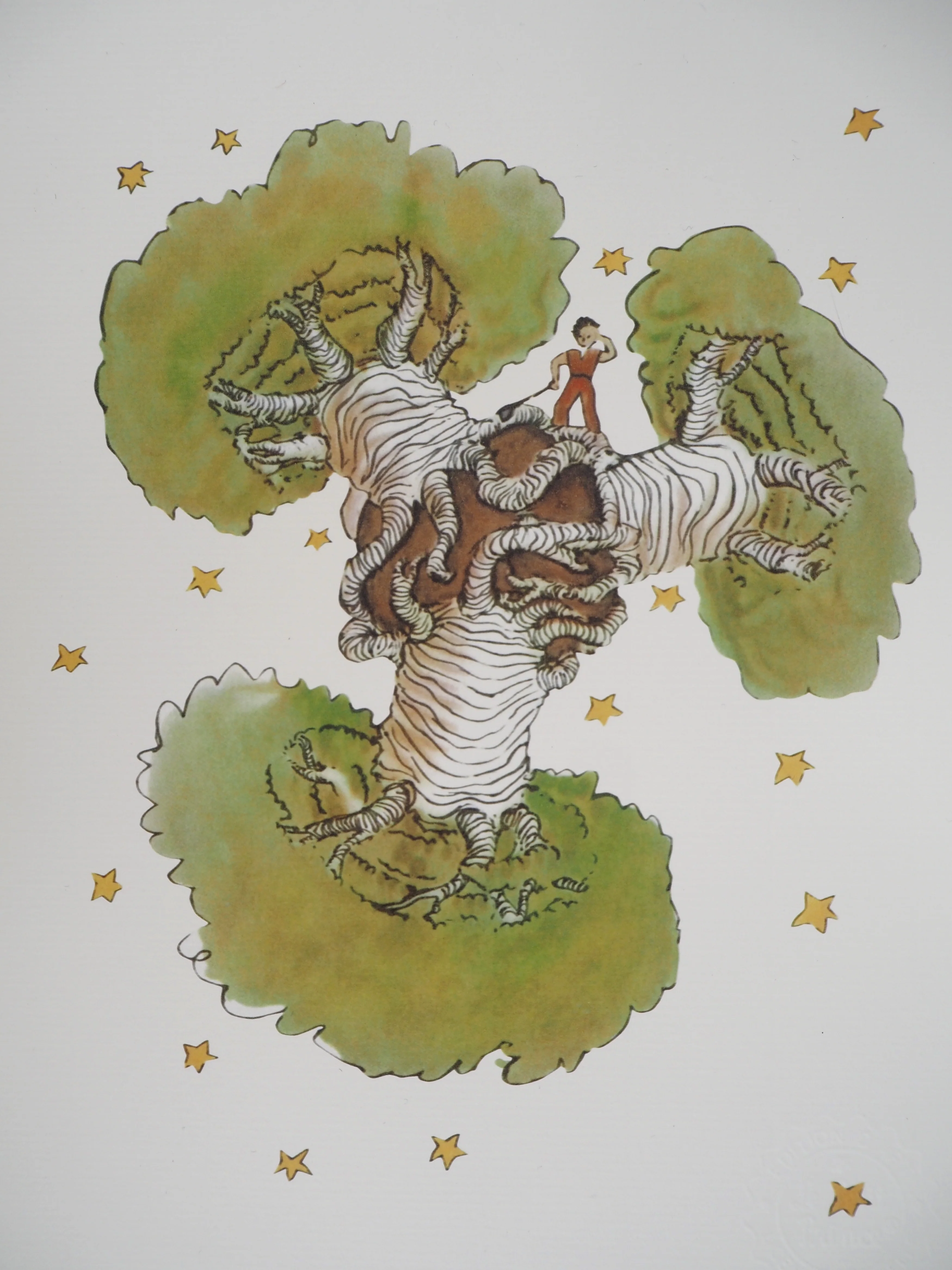 Miniature 2
