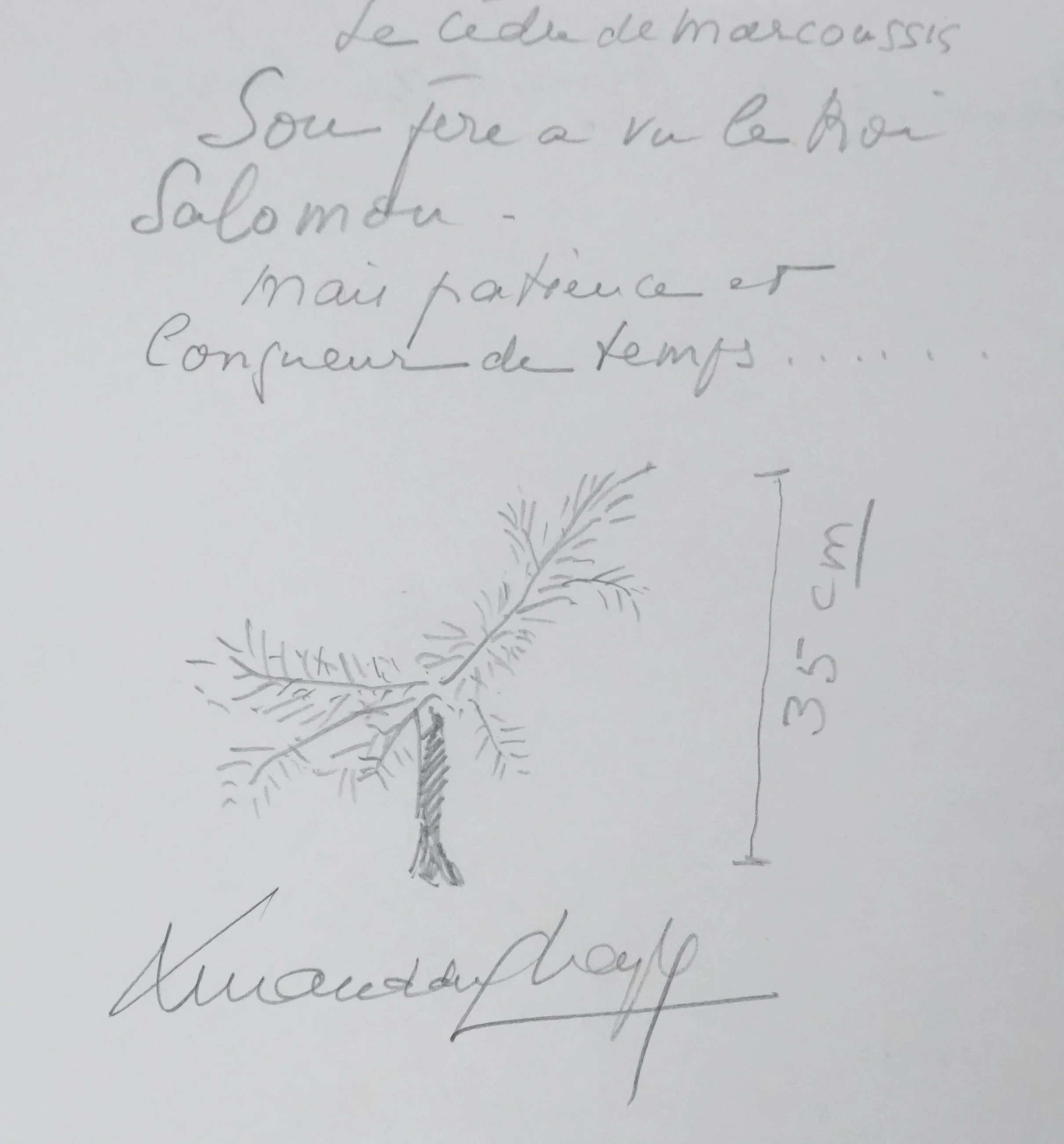 Armand DU CHAYLA : Le cèdre de Marcoussis, Autographe et dessin original signé