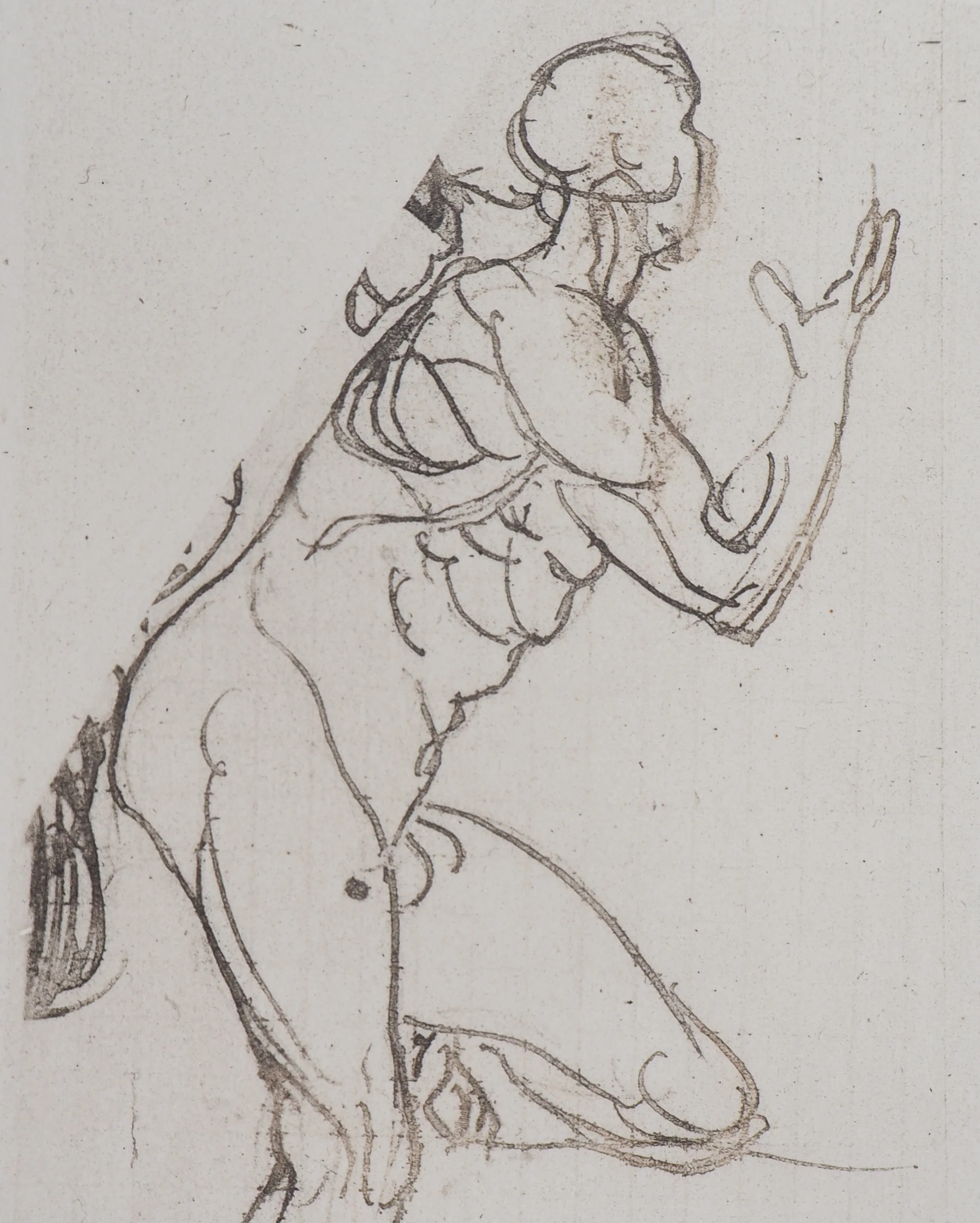 Auguste RODIN : Etudes pour la Tragédie, Gravure - Image 5