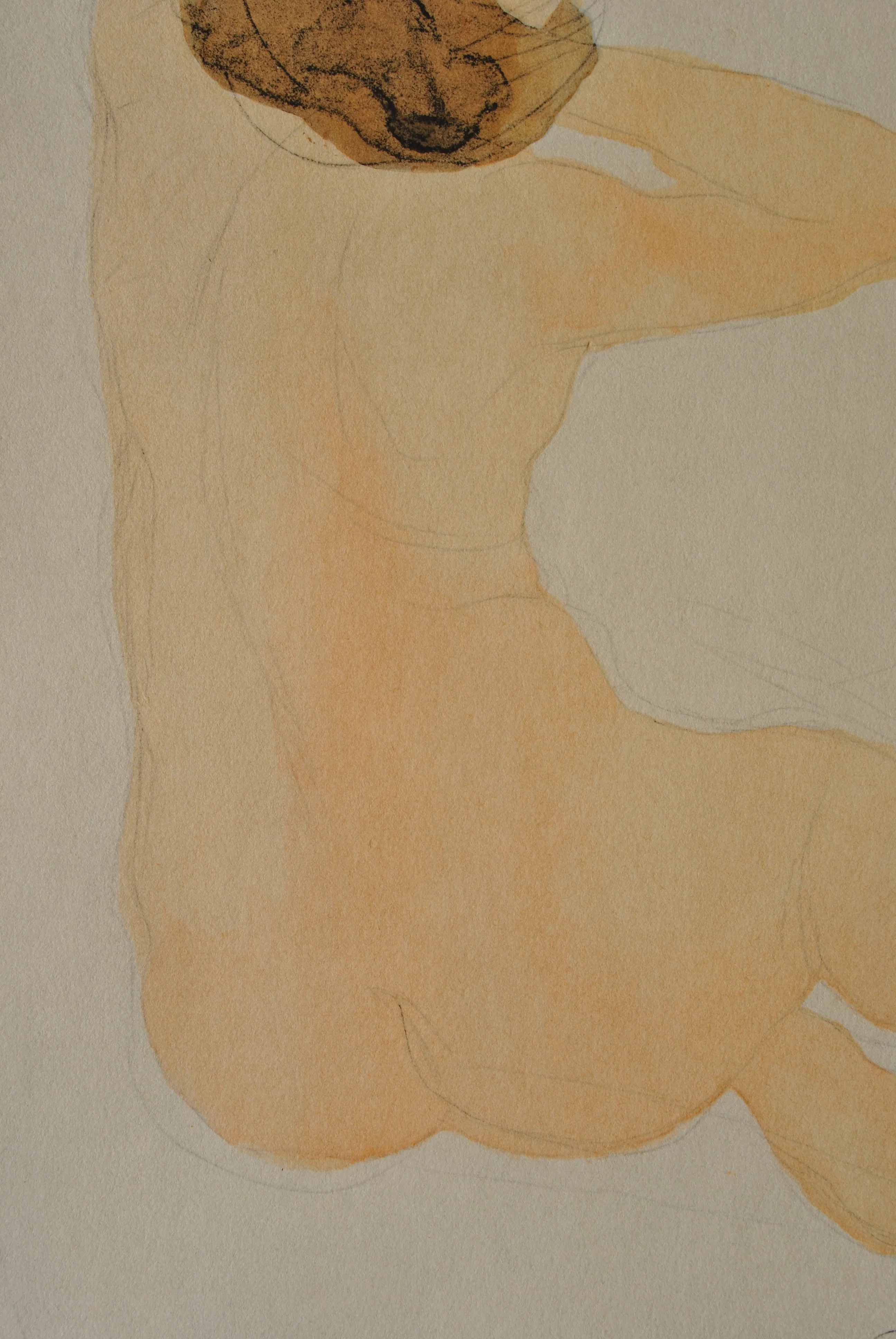 Auguste RODIN : Nu de dos, Gravure signée - Image 7