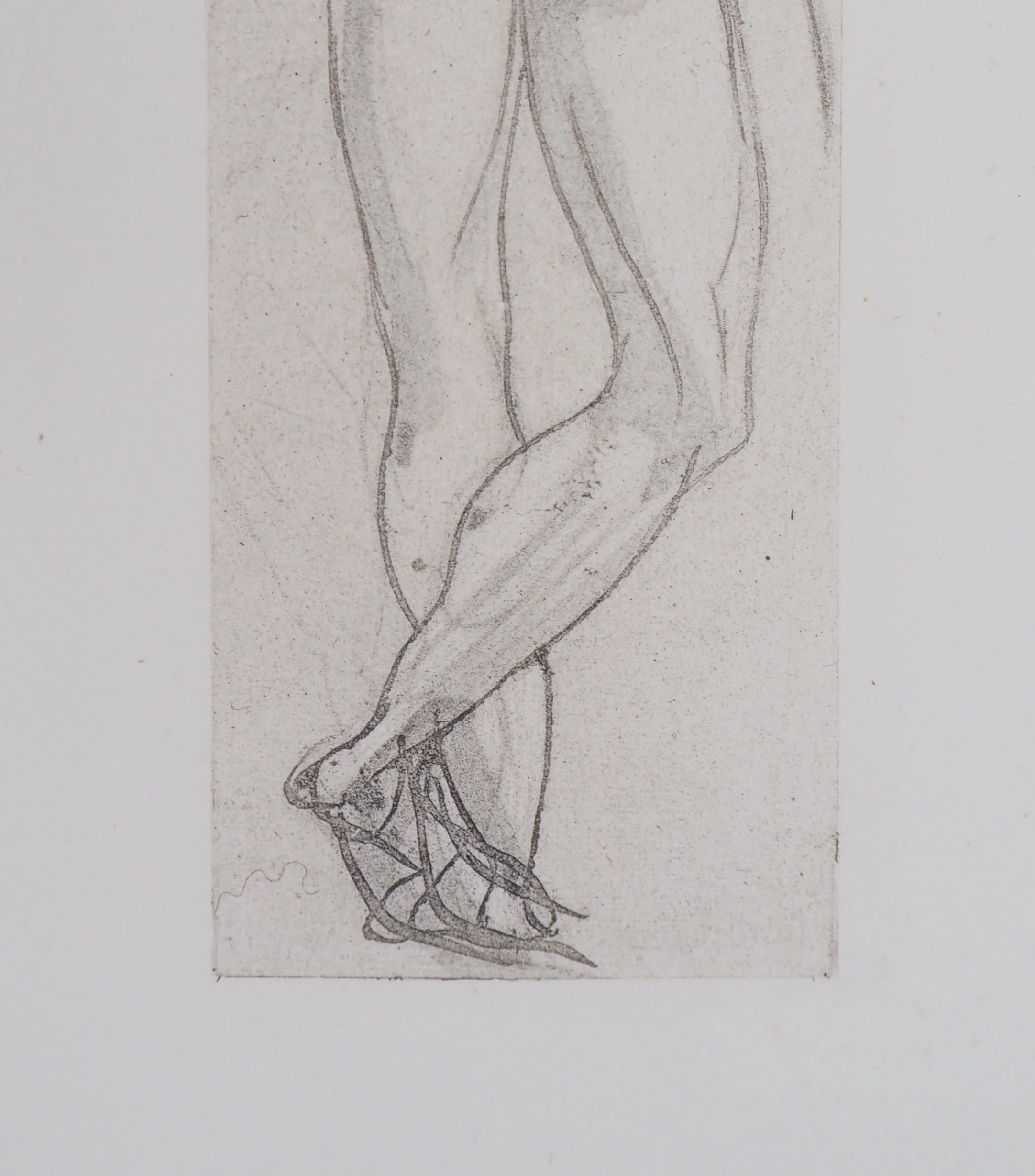 Auguste RODIN : Ombre de guerrier, Gravure - Image 4