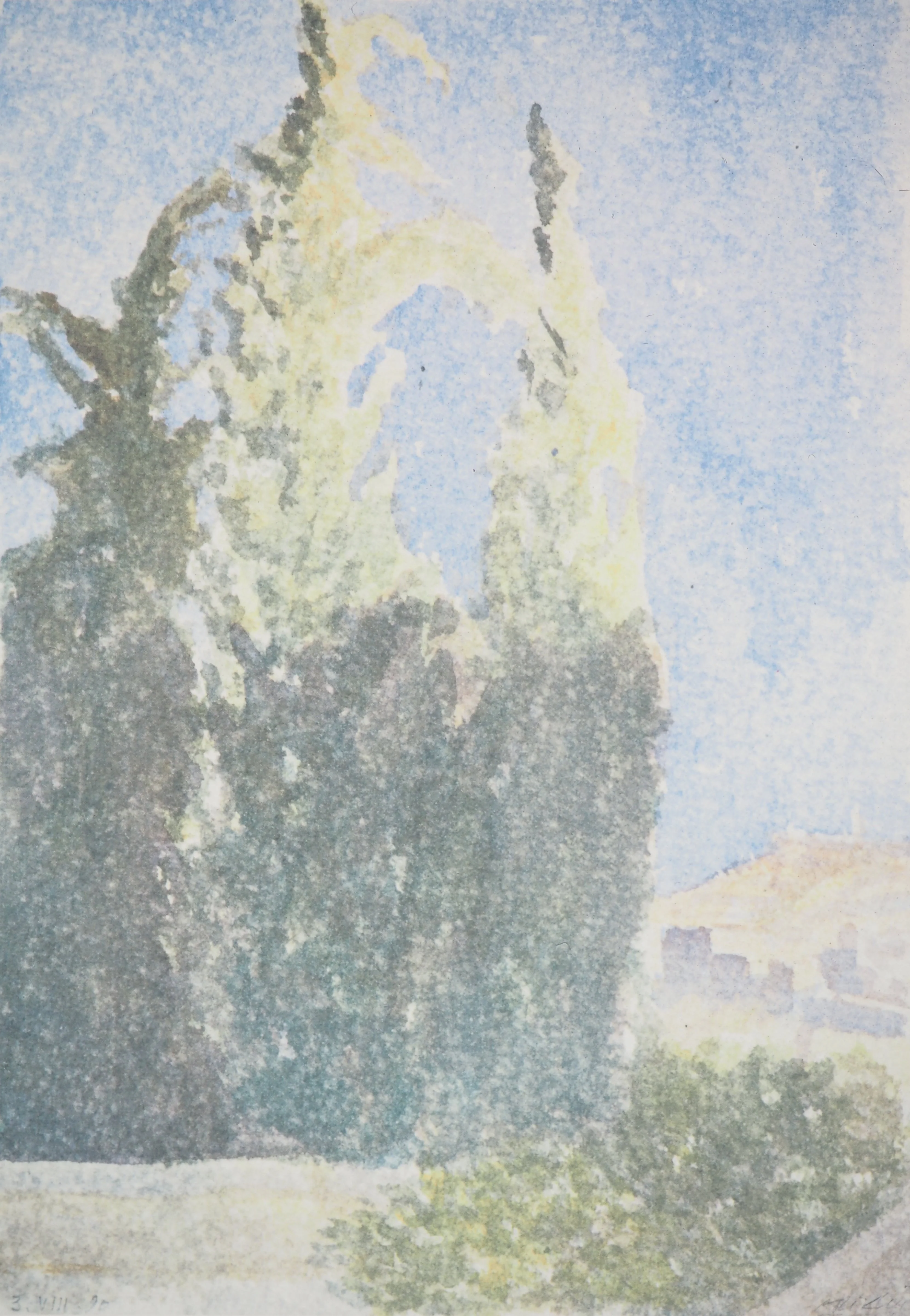 Avigdor ARIKHA : Cyprès à Jérusalem, Héliogravure signée - Image 3