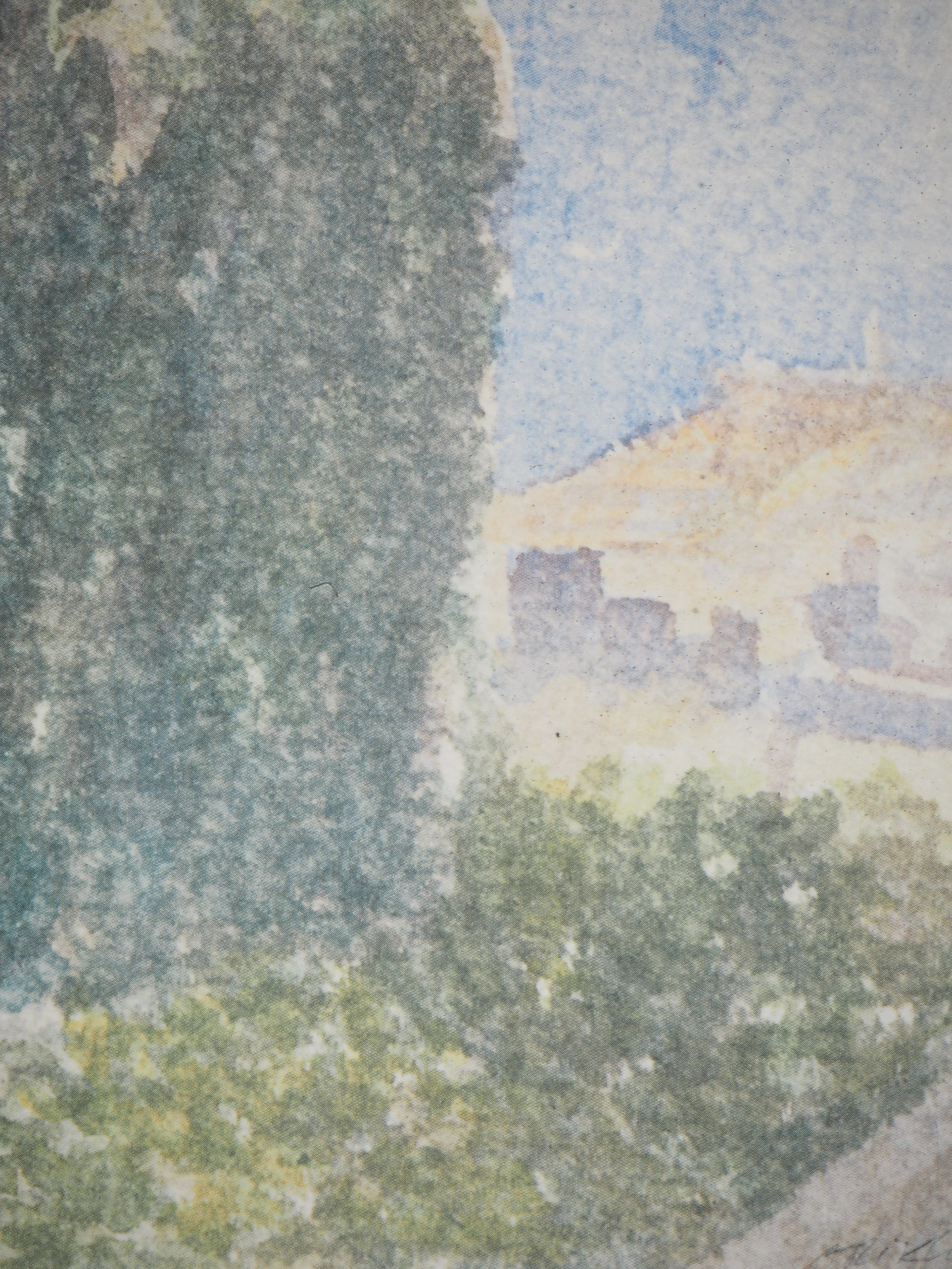 Avigdor ARIKHA : Cyprès à Jérusalem, Héliogravure signée - Image 4
