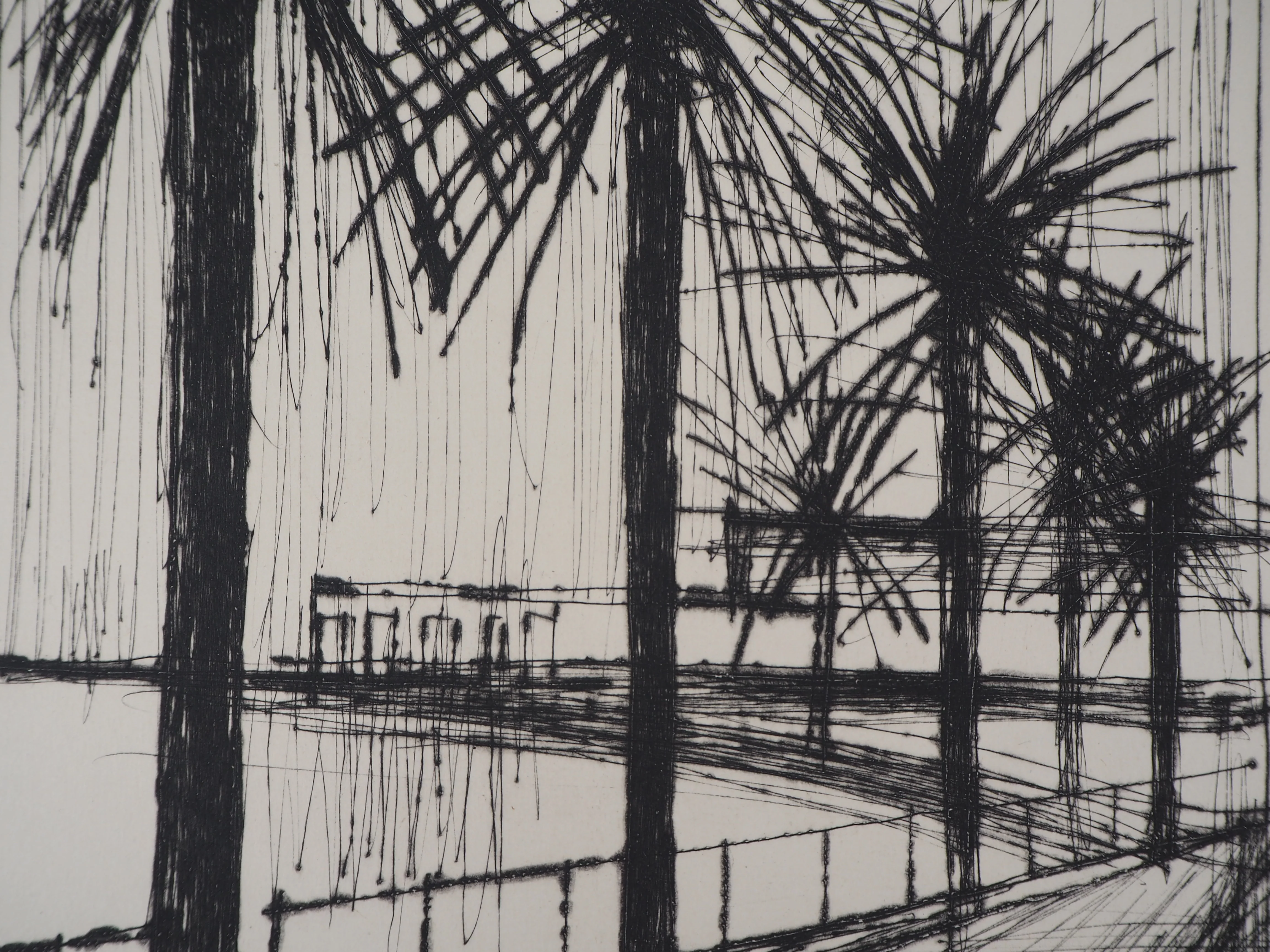 Bernard BUFFET : Palmiers le long de la plage, Gravure originale - Image 4
