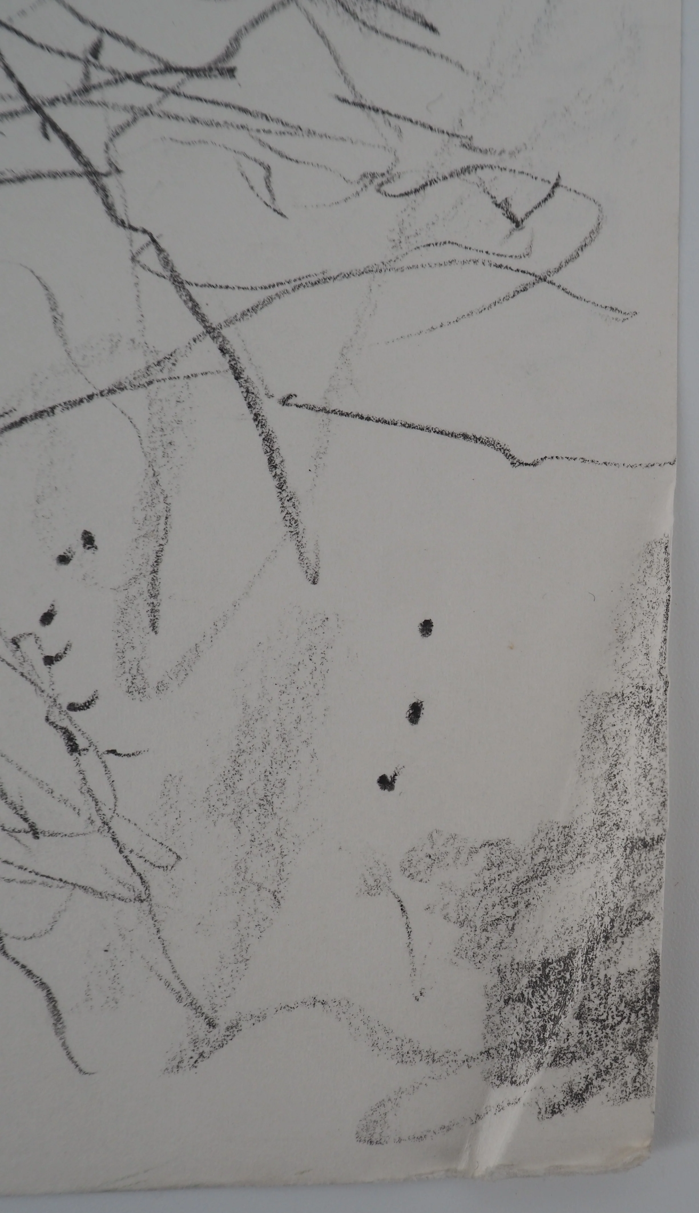 Bernard GANTNER : Suisse, Nuages sur le Lac Leman, Dessin original signé - Image 9