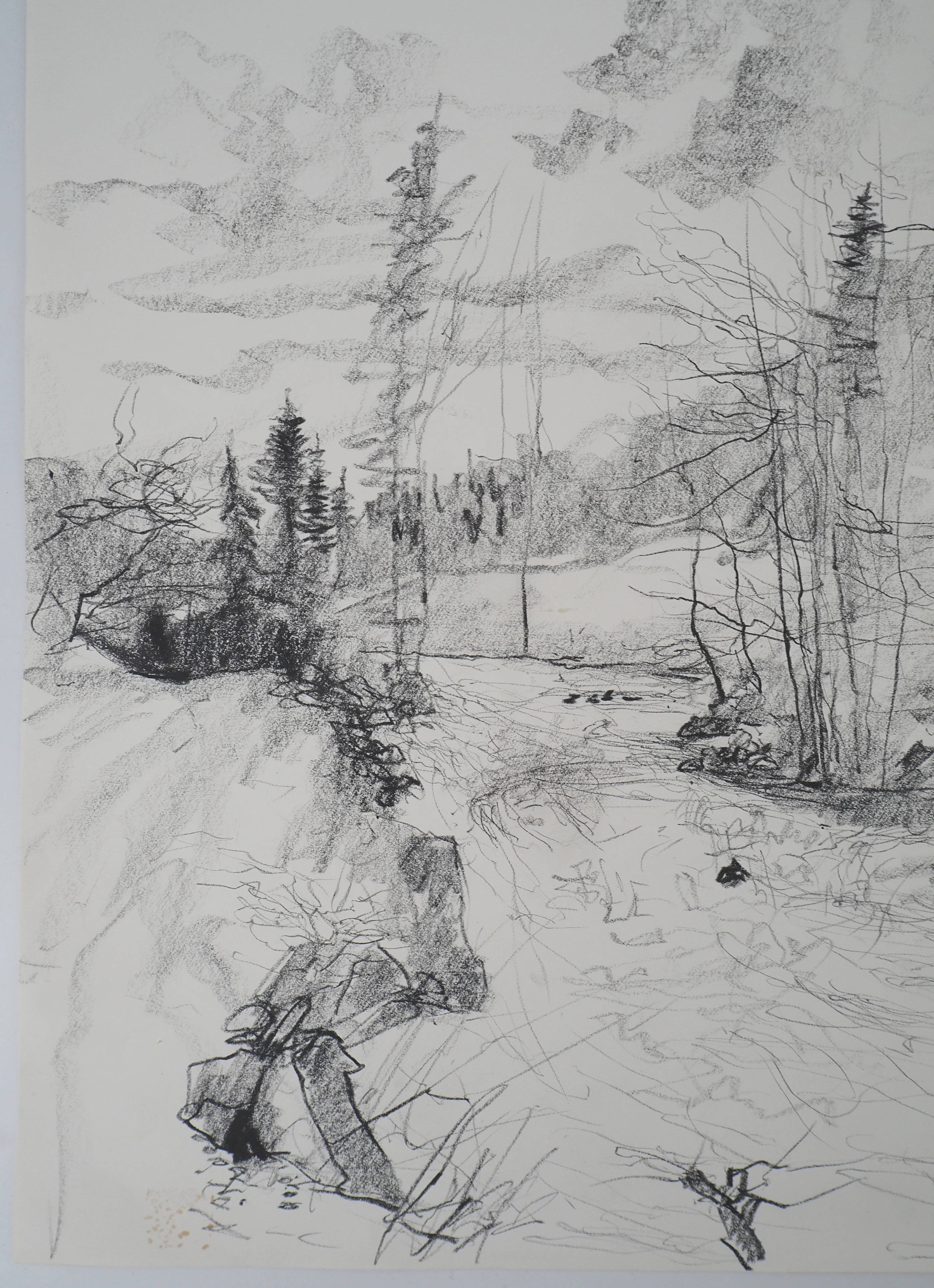 Bernard GANTNER : Torrent dans les Vosges, Dessin original signé - Image 4