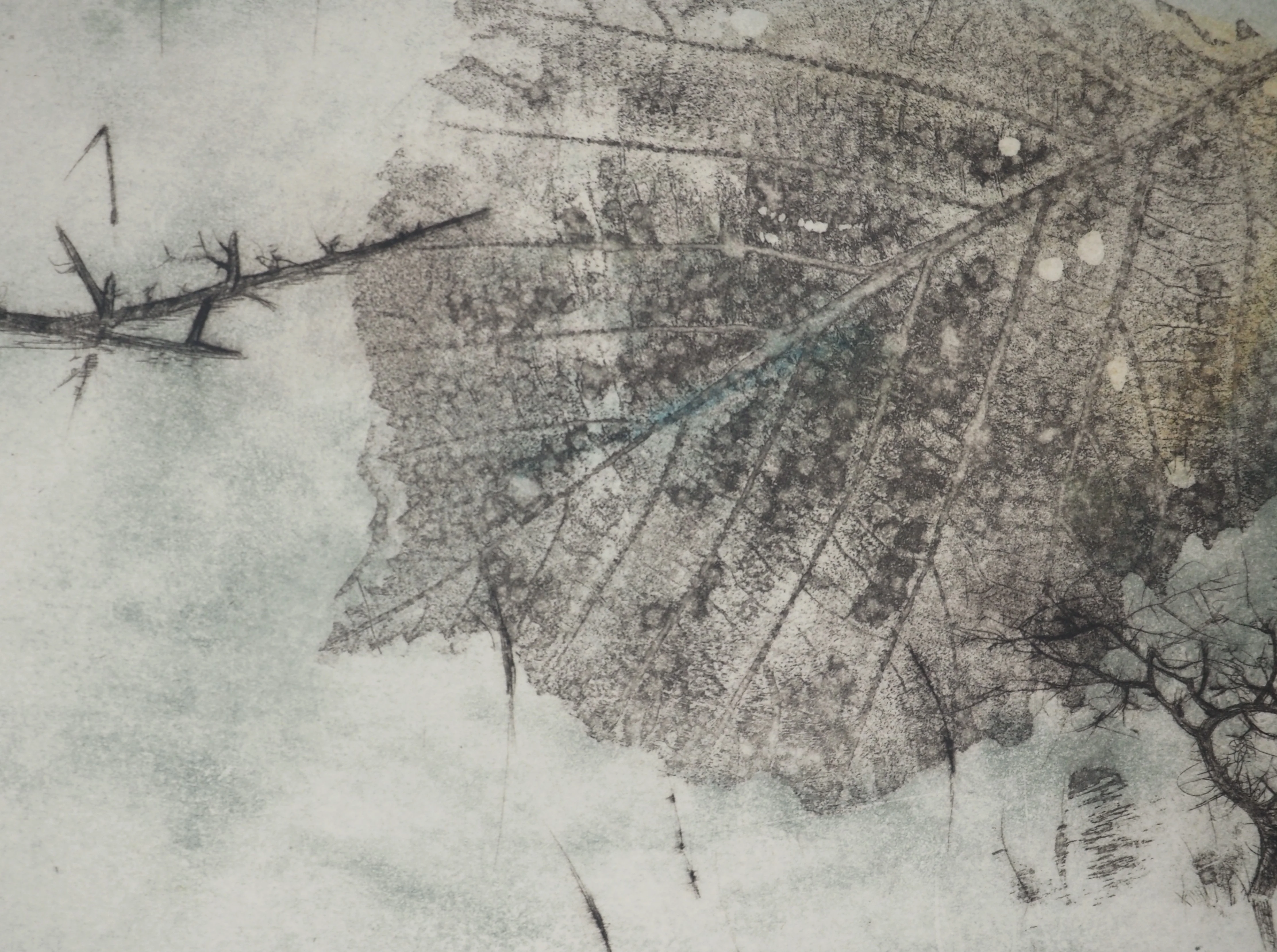 Bernard LOUEDIN : Champs de l'aube, Gravure signée - Image 4
