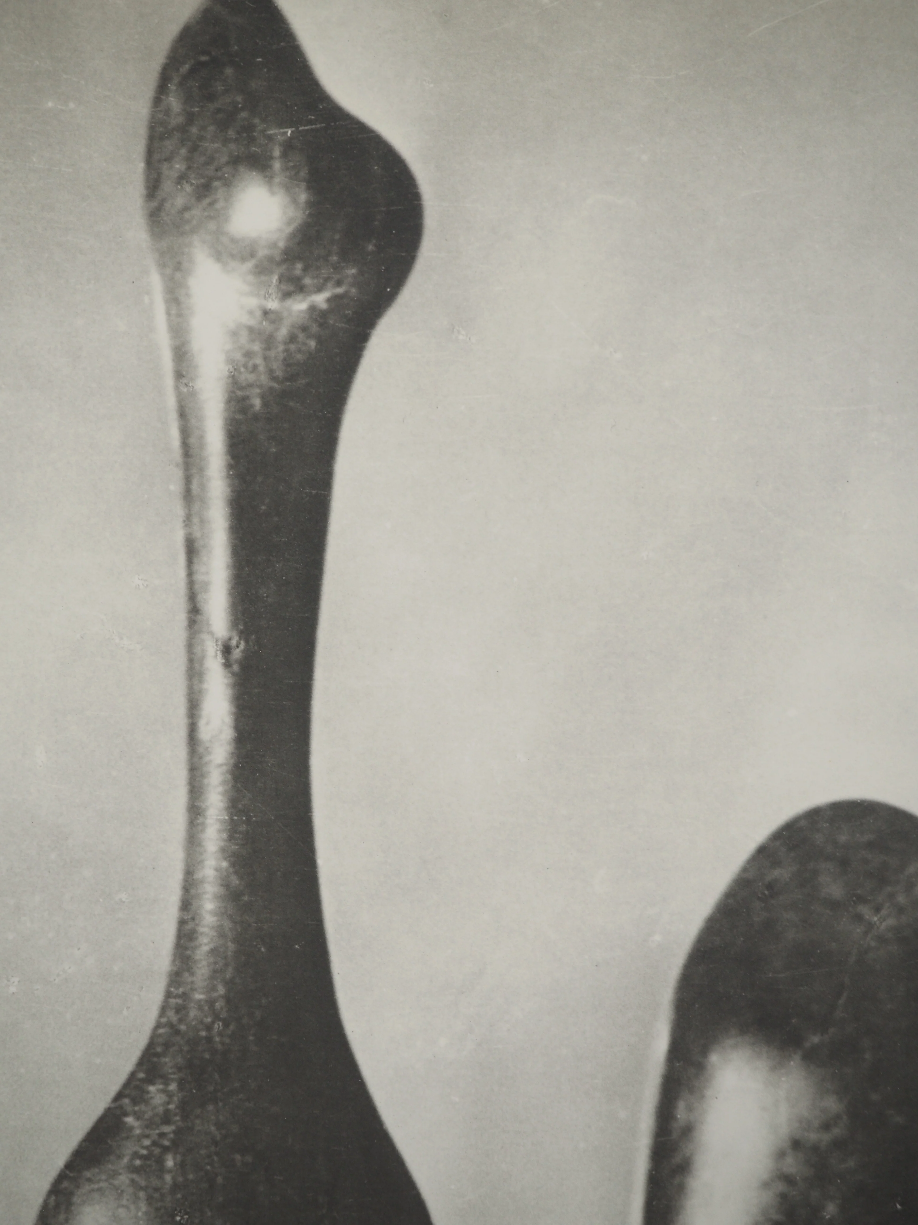 BRASSAI : Vénus, Figures féminines, Affiche en lithographie - Image 4