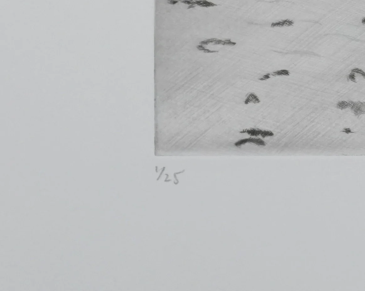 Camille COMBE : Au bout de l'île, Gravure originale signée - Image 6