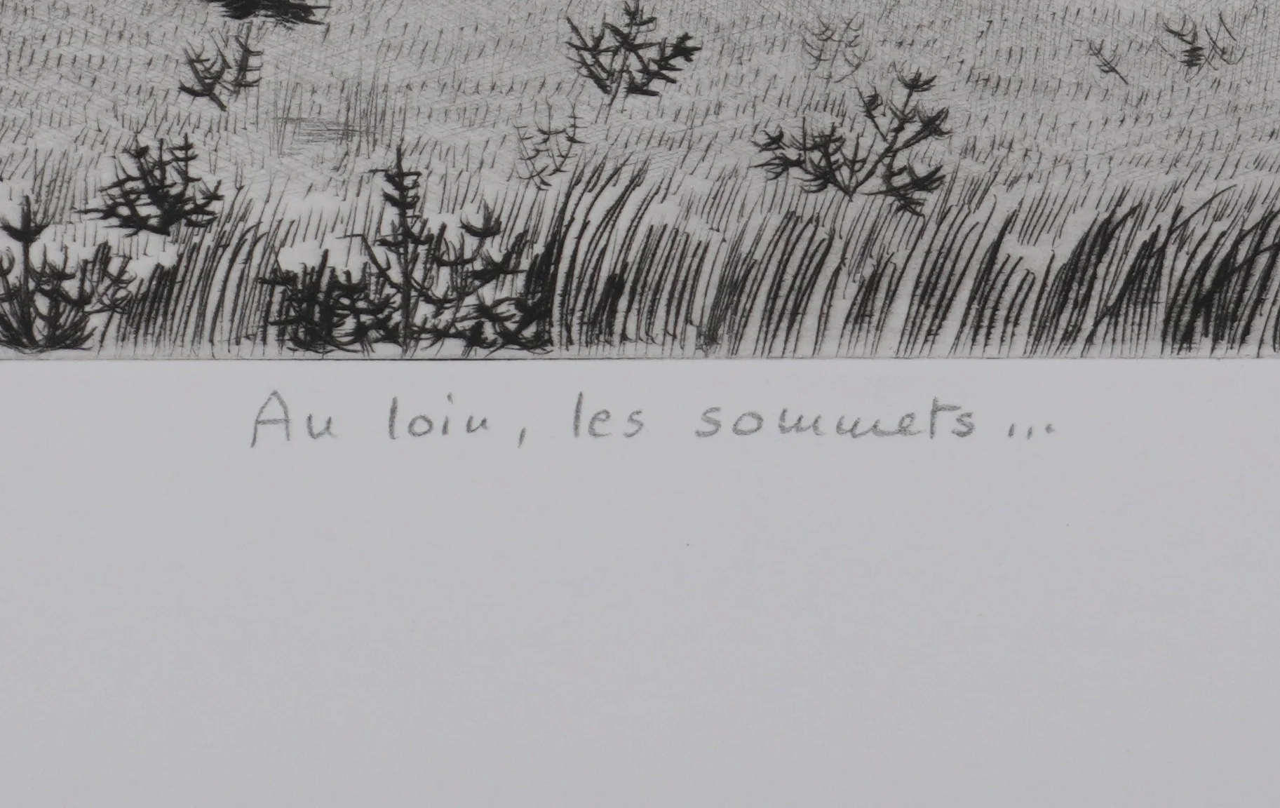 Camille COMBE : Au loin, les sommets, Gravure originale signée - Image 5