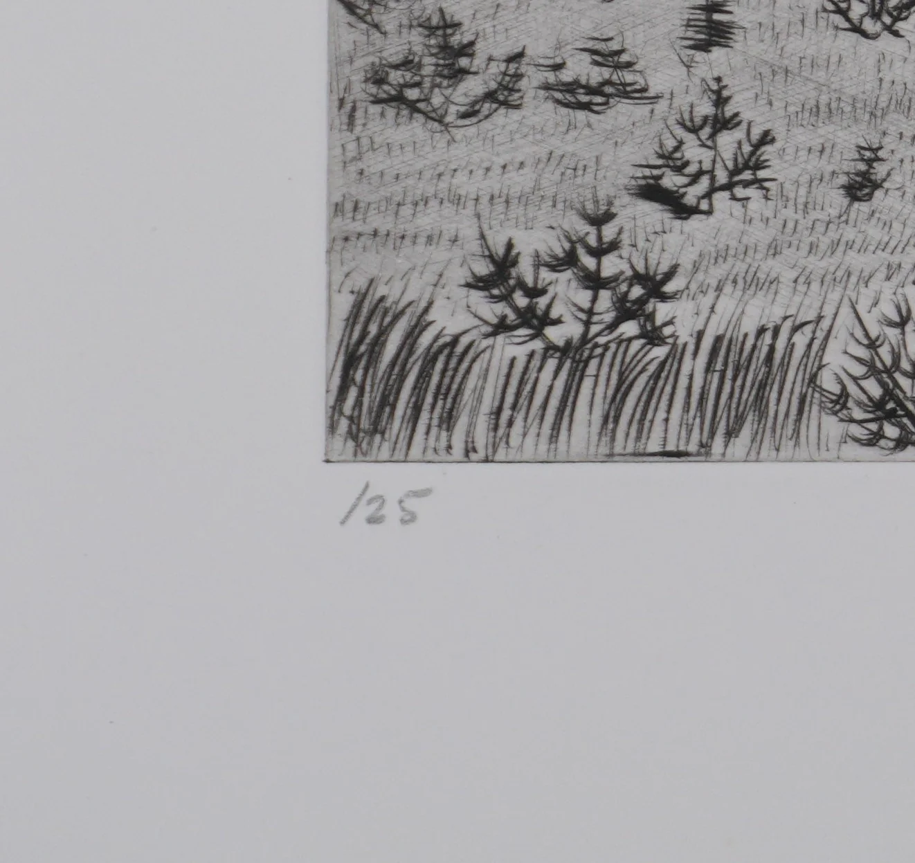 Camille COMBE : Au loin, les sommets, Gravure originale signée - Image 8