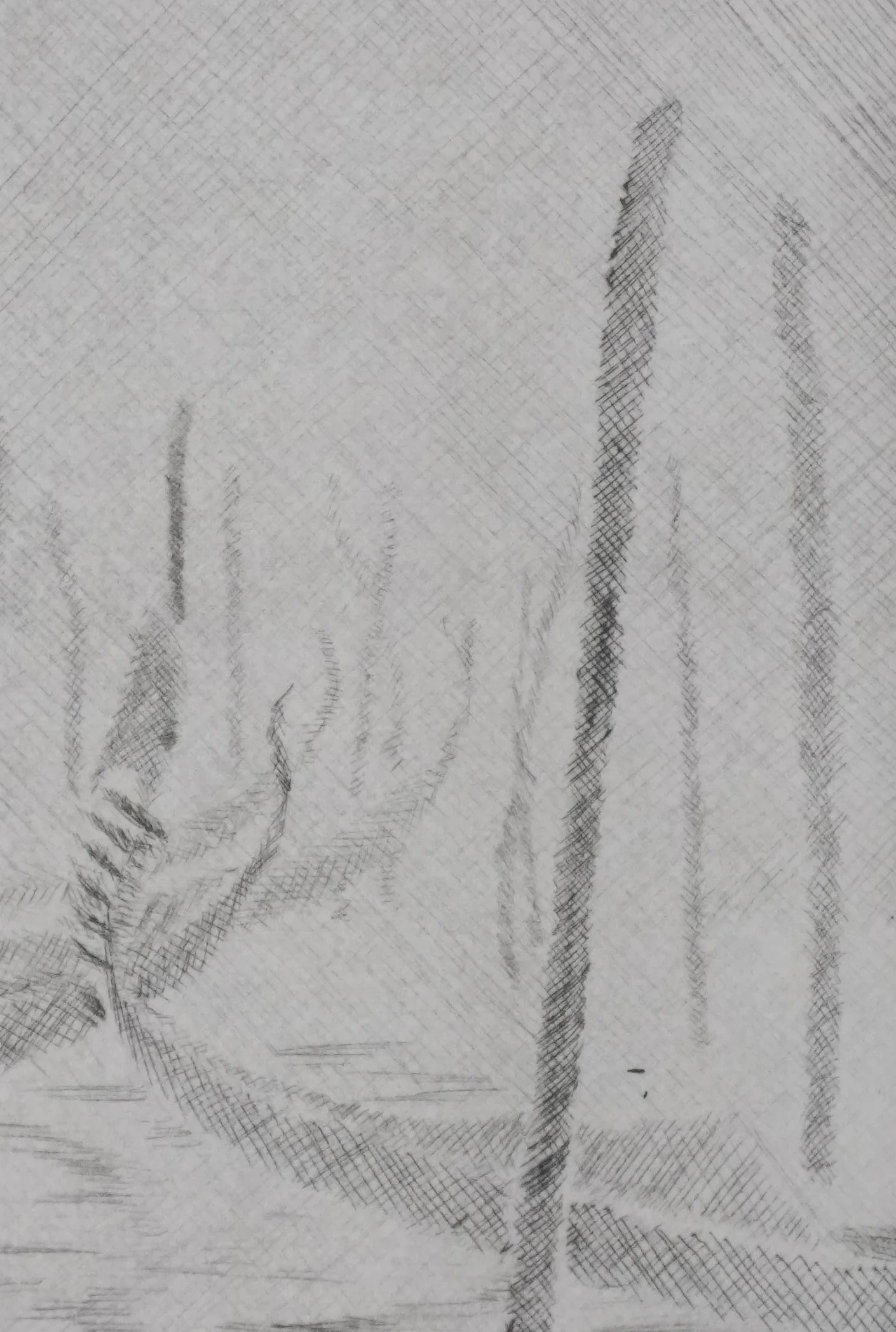 Camille COMBE : Brume matinale, Gravure originale signée - Image 5