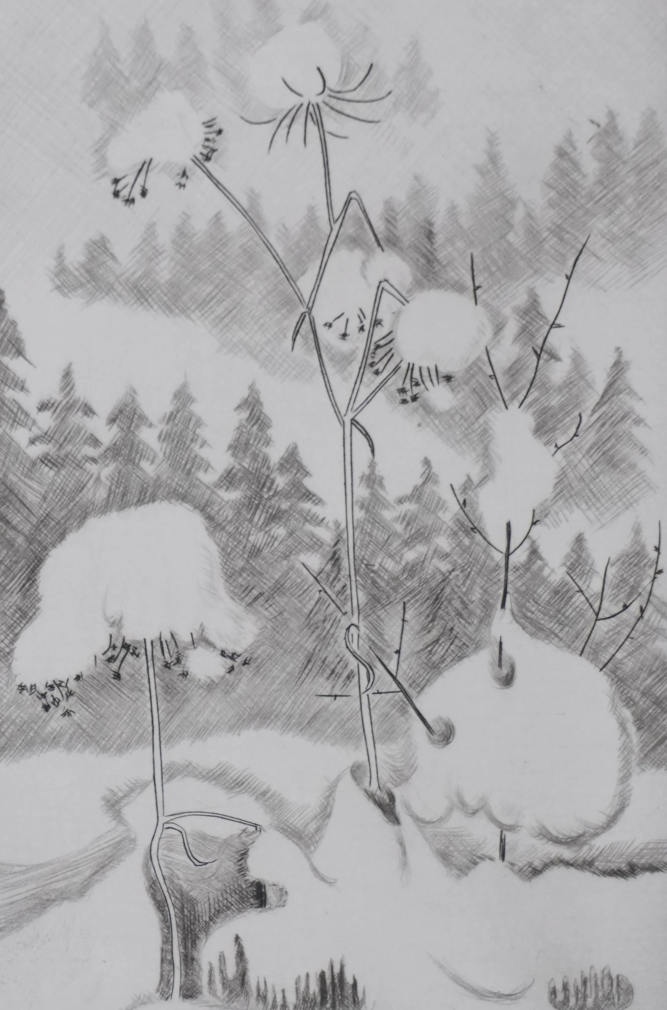 Camille COMBE : En neige, Gravure originale signée - Image 4