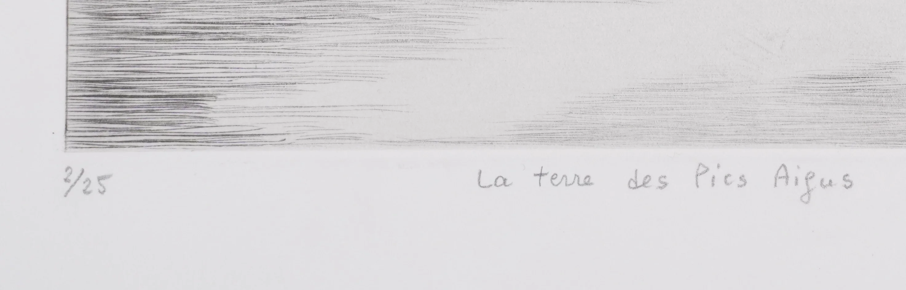 Camille COMBE : La terre des Pics Aigus, Gravure originale signée - Image 8