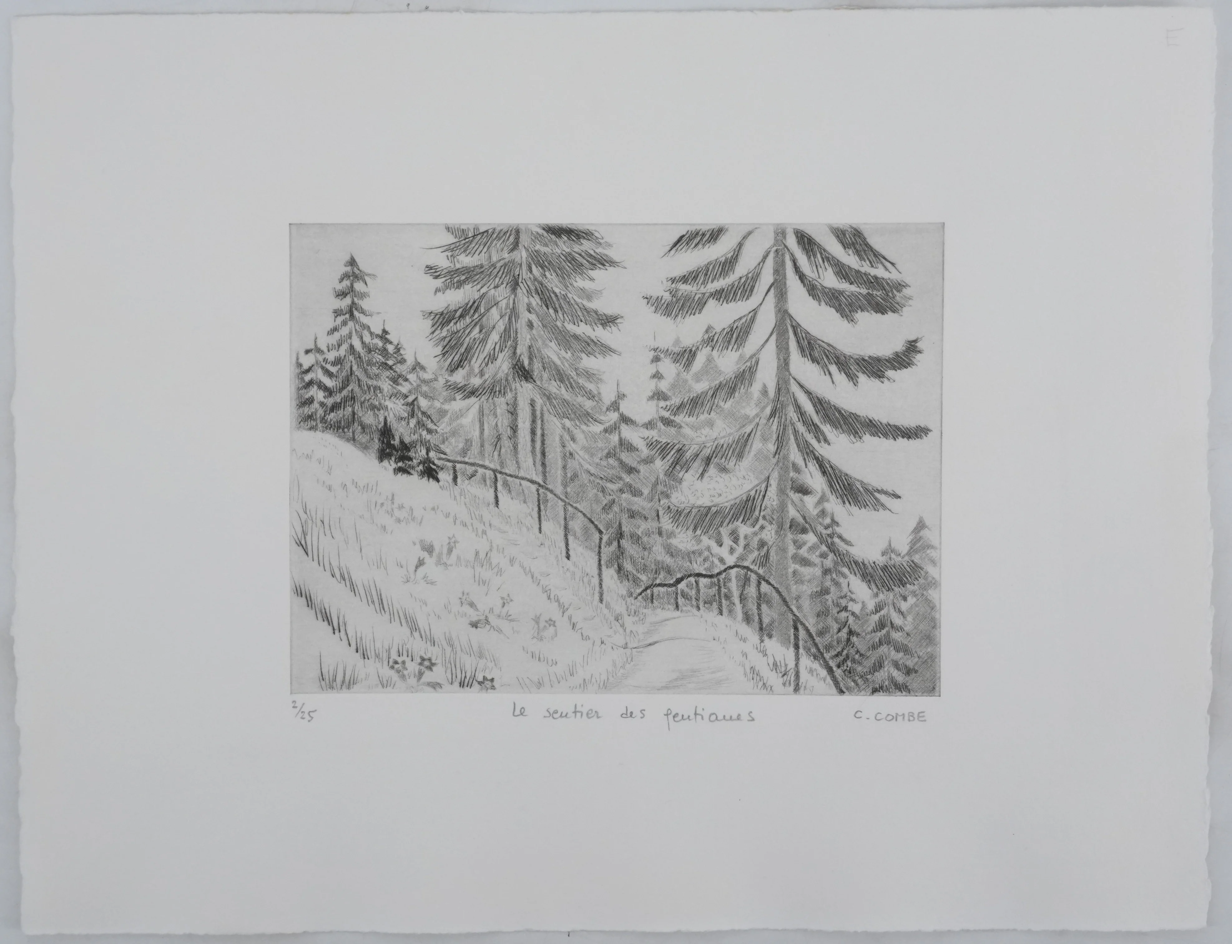 Camille COMBE : Le sentier des gentianes, Gravure originale signée - Image 3