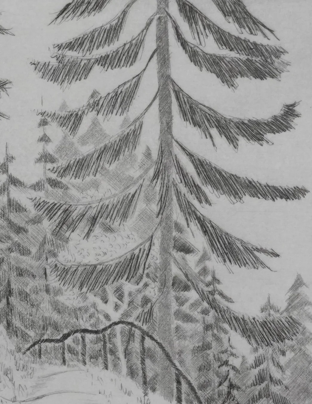 Camille COMBE : Le sentier des gentianes, Gravure originale signée - Image 5