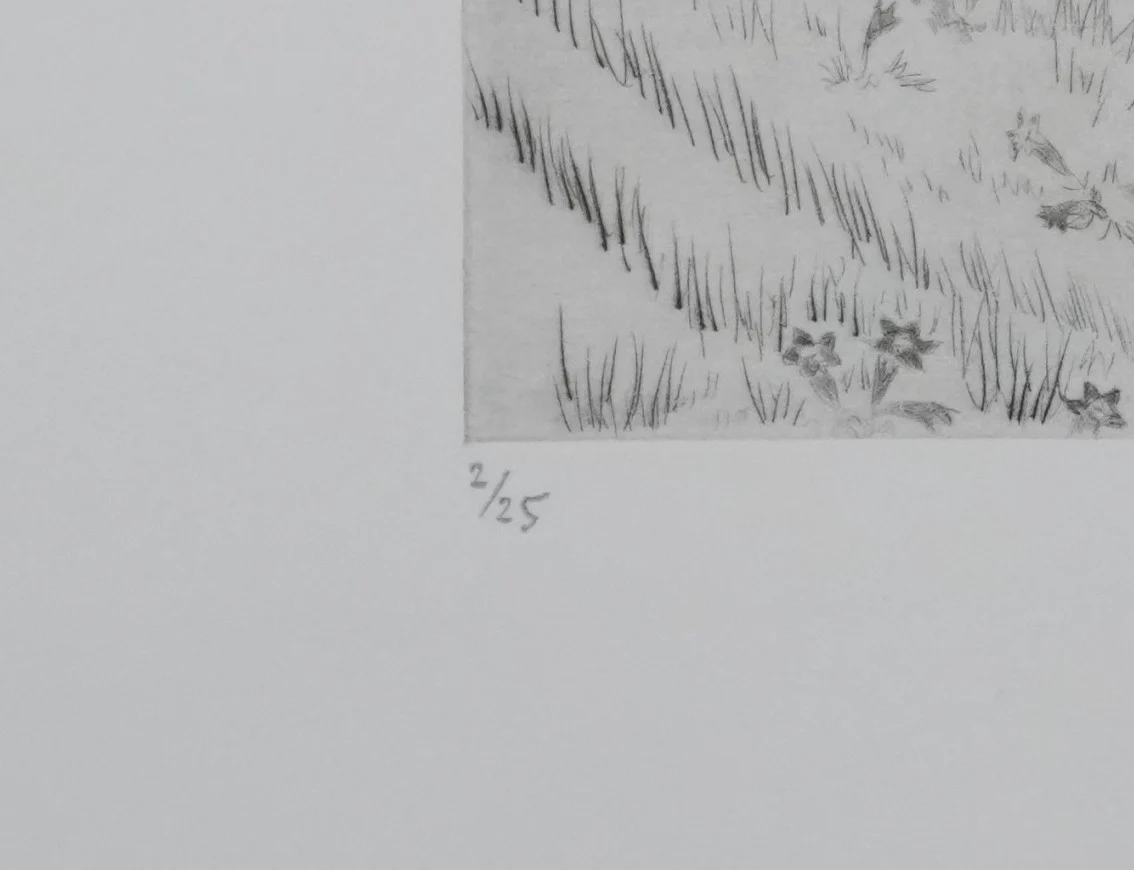 Camille COMBE : Le sentier des gentianes, Gravure originale signée - Image 6