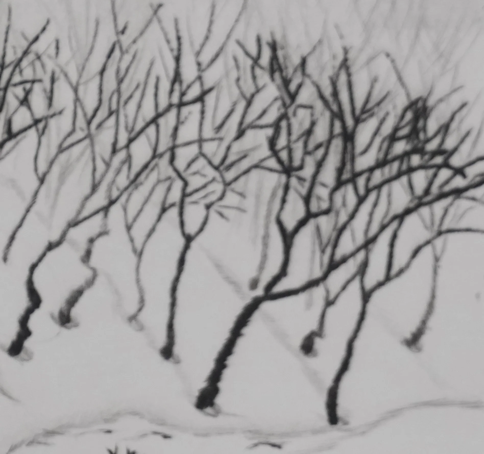 Camille COMBE : Le torrent se tait, Gravure originale signée - Image 5