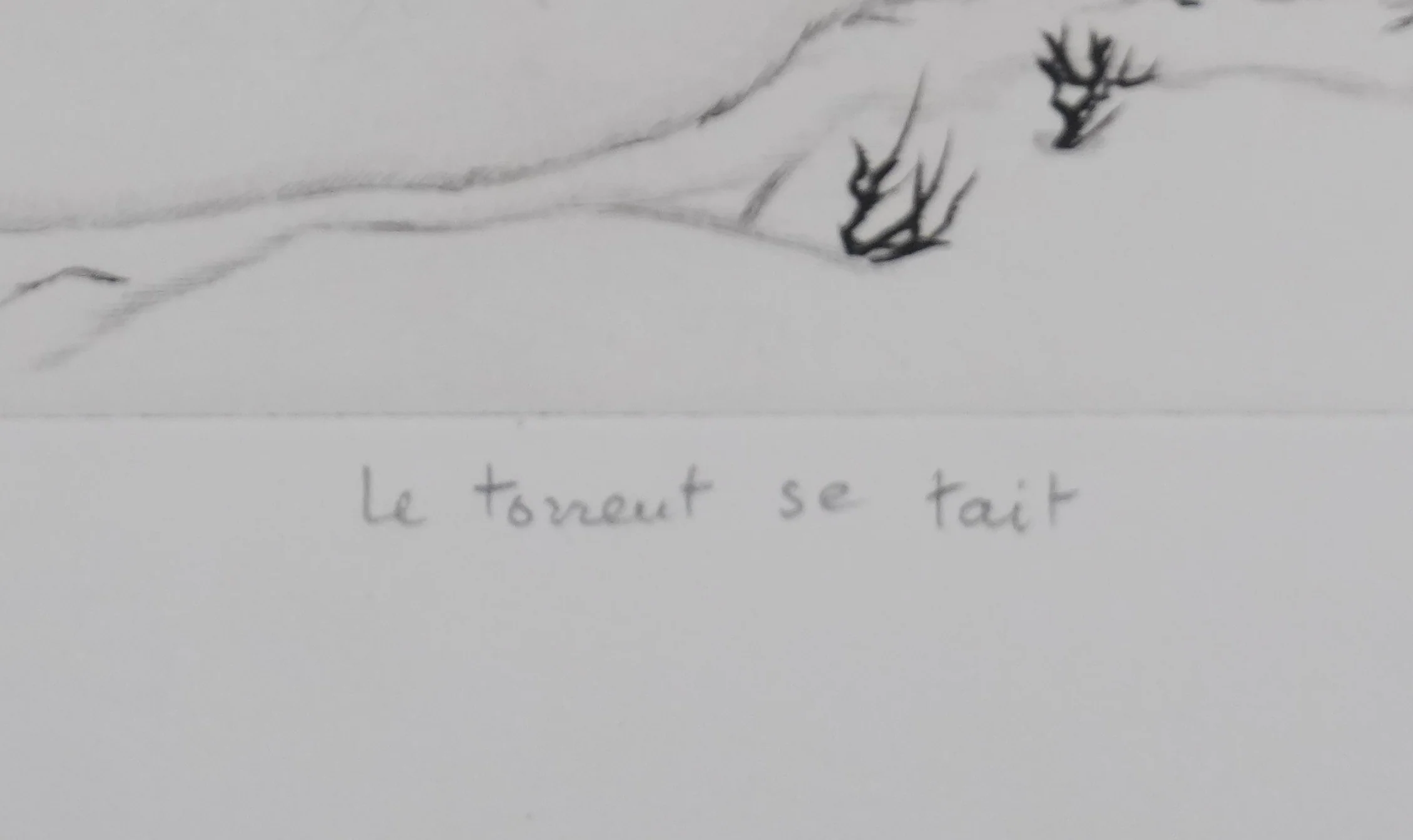Camille COMBE : Le torrent se tait, Gravure originale signée - Image 8