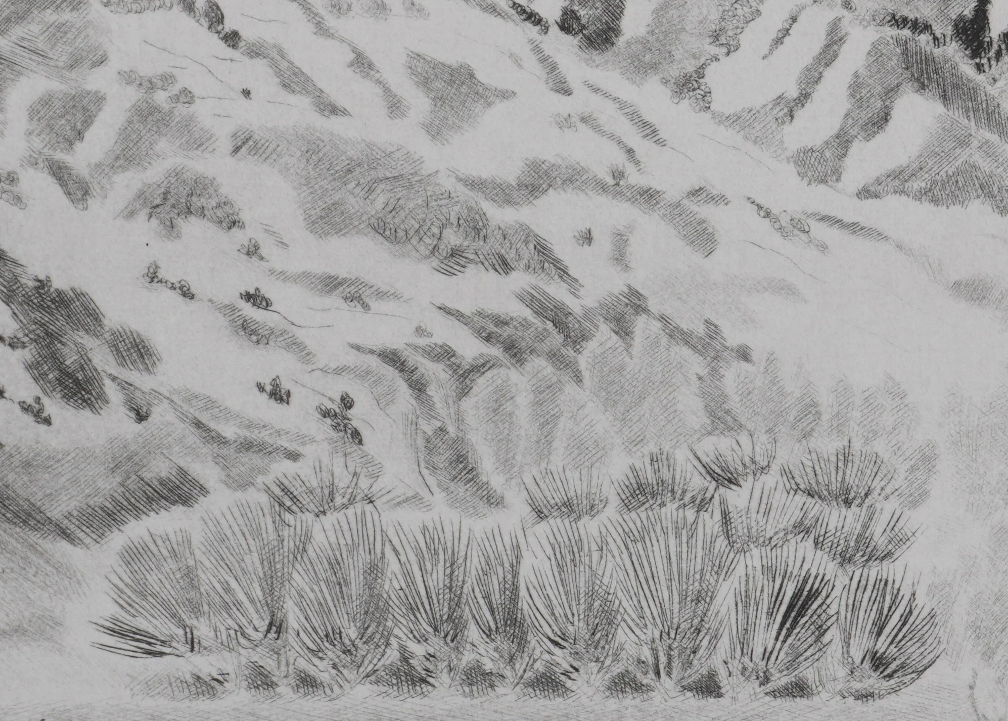 Camille COMBE : Les Alpilles, Gravure originale signée - Image 5