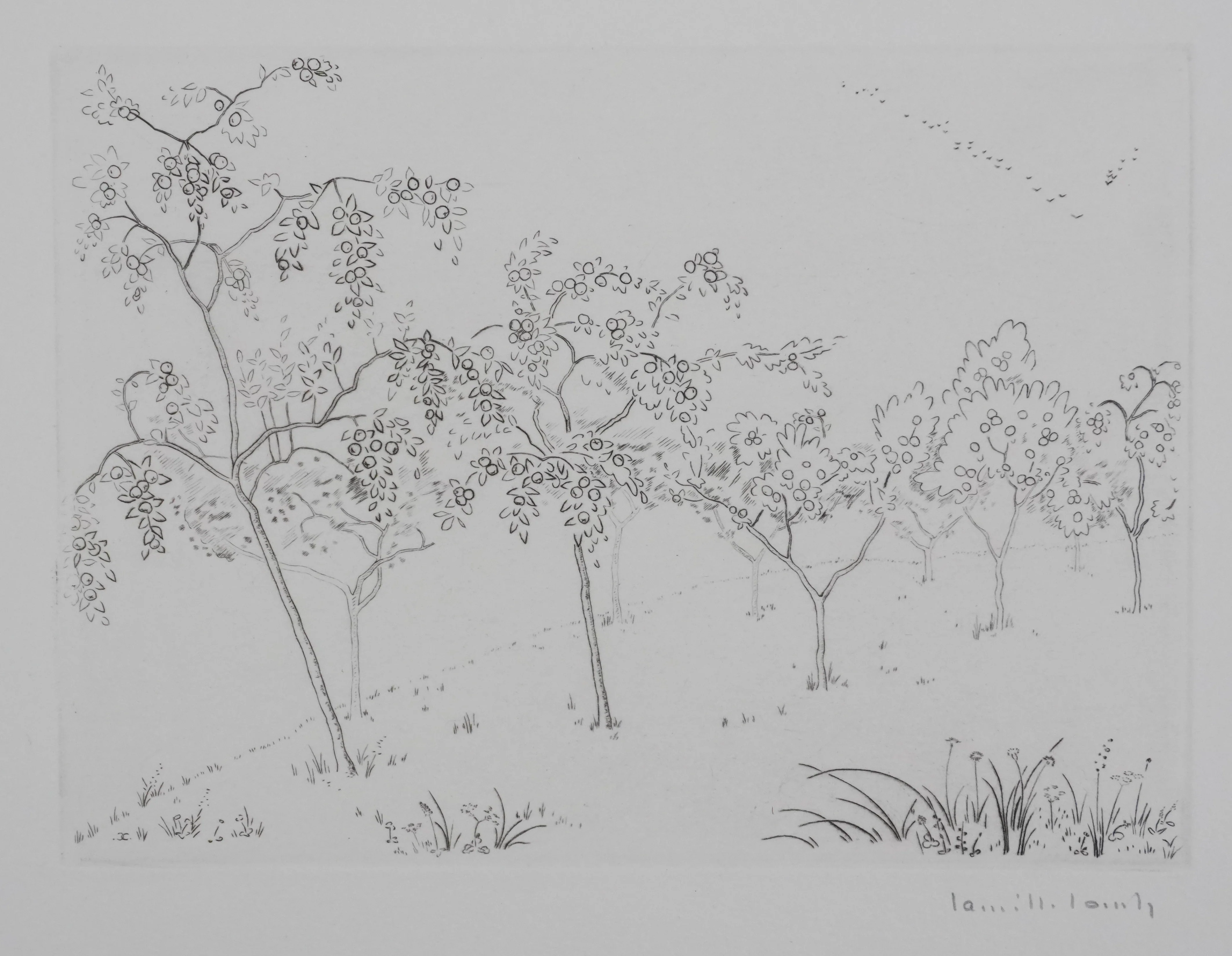 Camille COMBE : Les arbres fruités, Gravure originale signée - Image 3