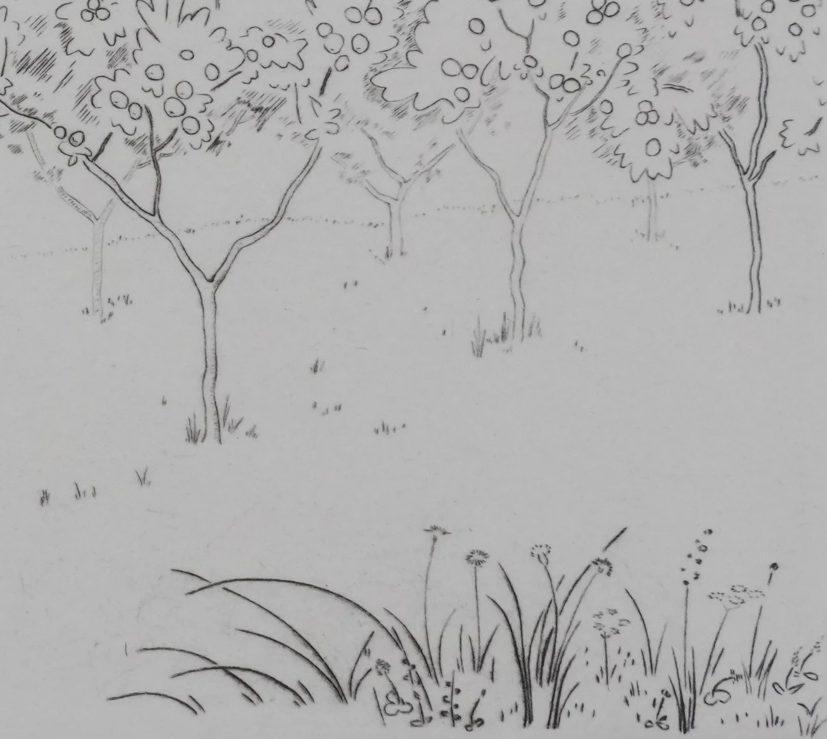 Camille COMBE : Les arbres fruités, Gravure originale signée - Image 7