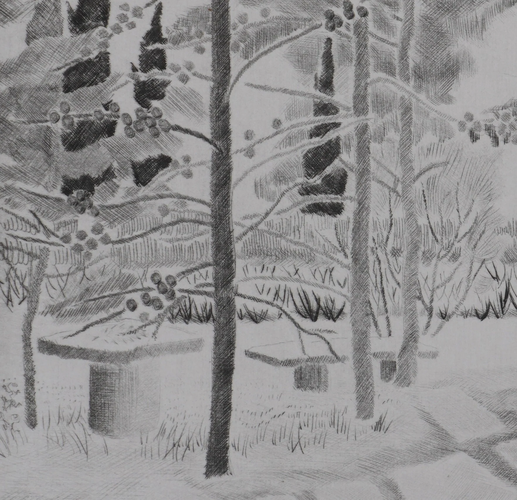 Camille COMBE : Sous les cyprès-flammes, Gravure originale signée - Image 7