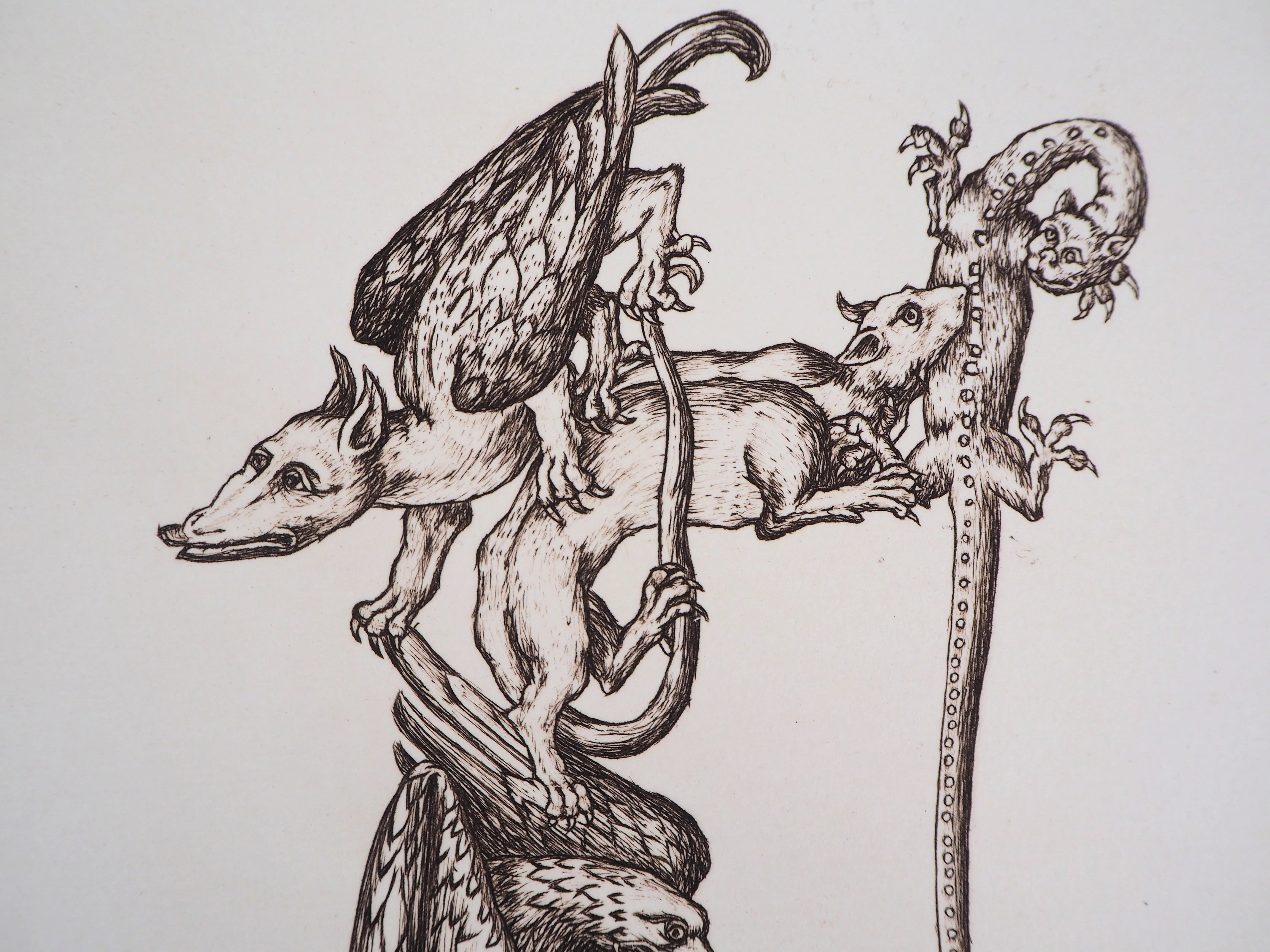 Cécile REIMS : Chaîne animale, T, Gravure originale signée - Image 4