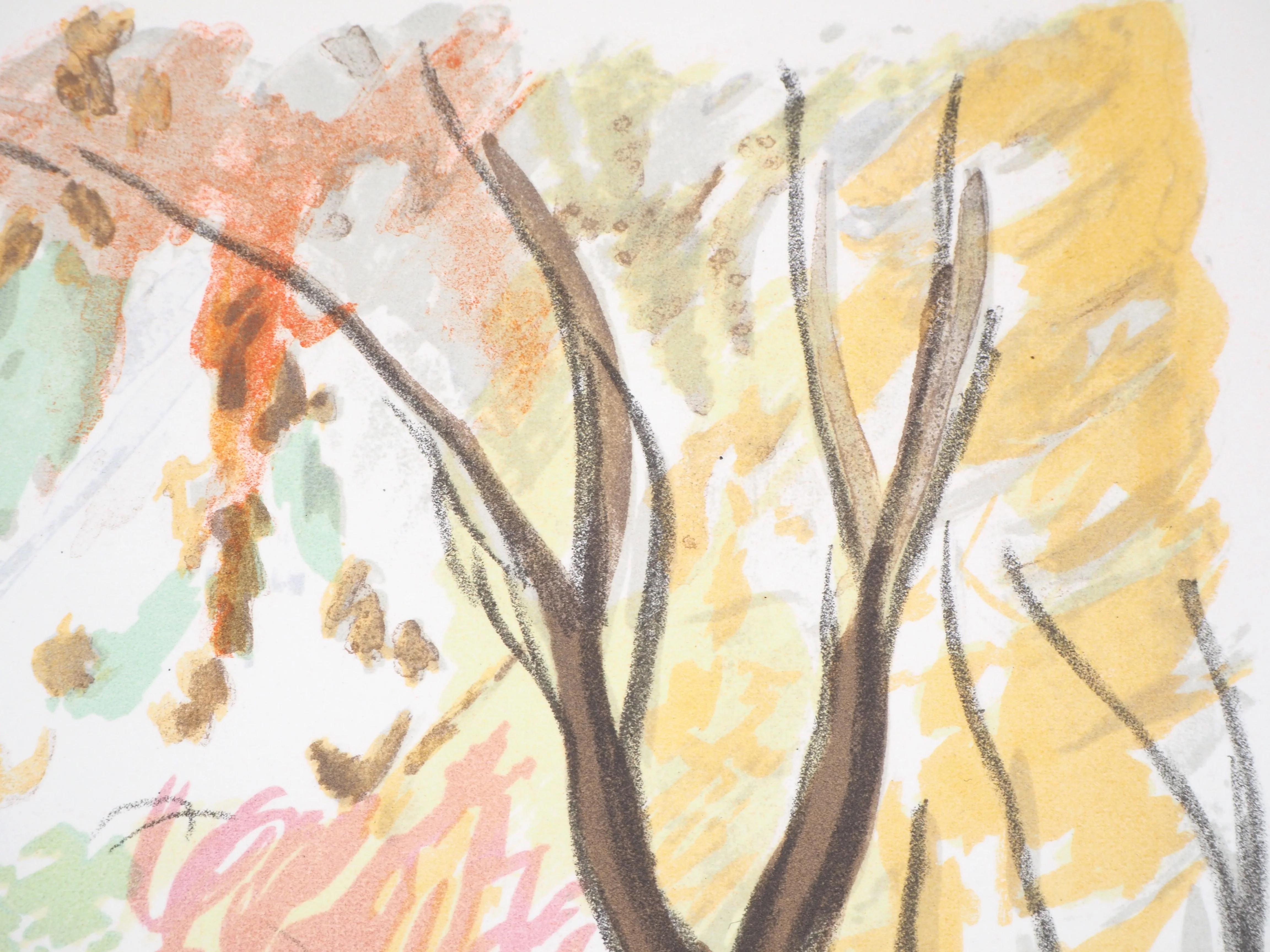 Charles CAMOIN : Chemin de halage, Lithographie originale signée - Image 6