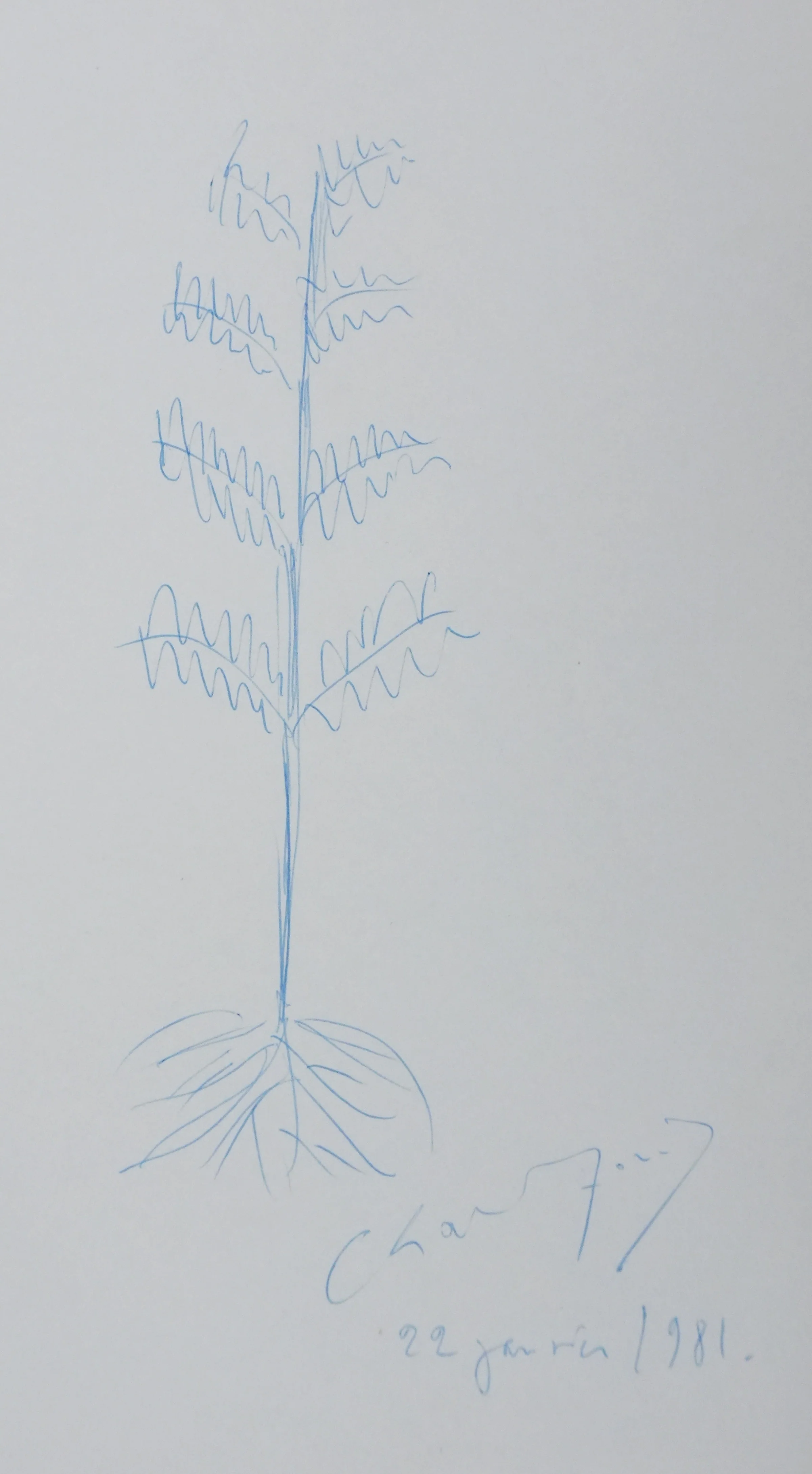 Charles FORD : Un arbre à feuilles, Autographe et dessin original signé - Image 2