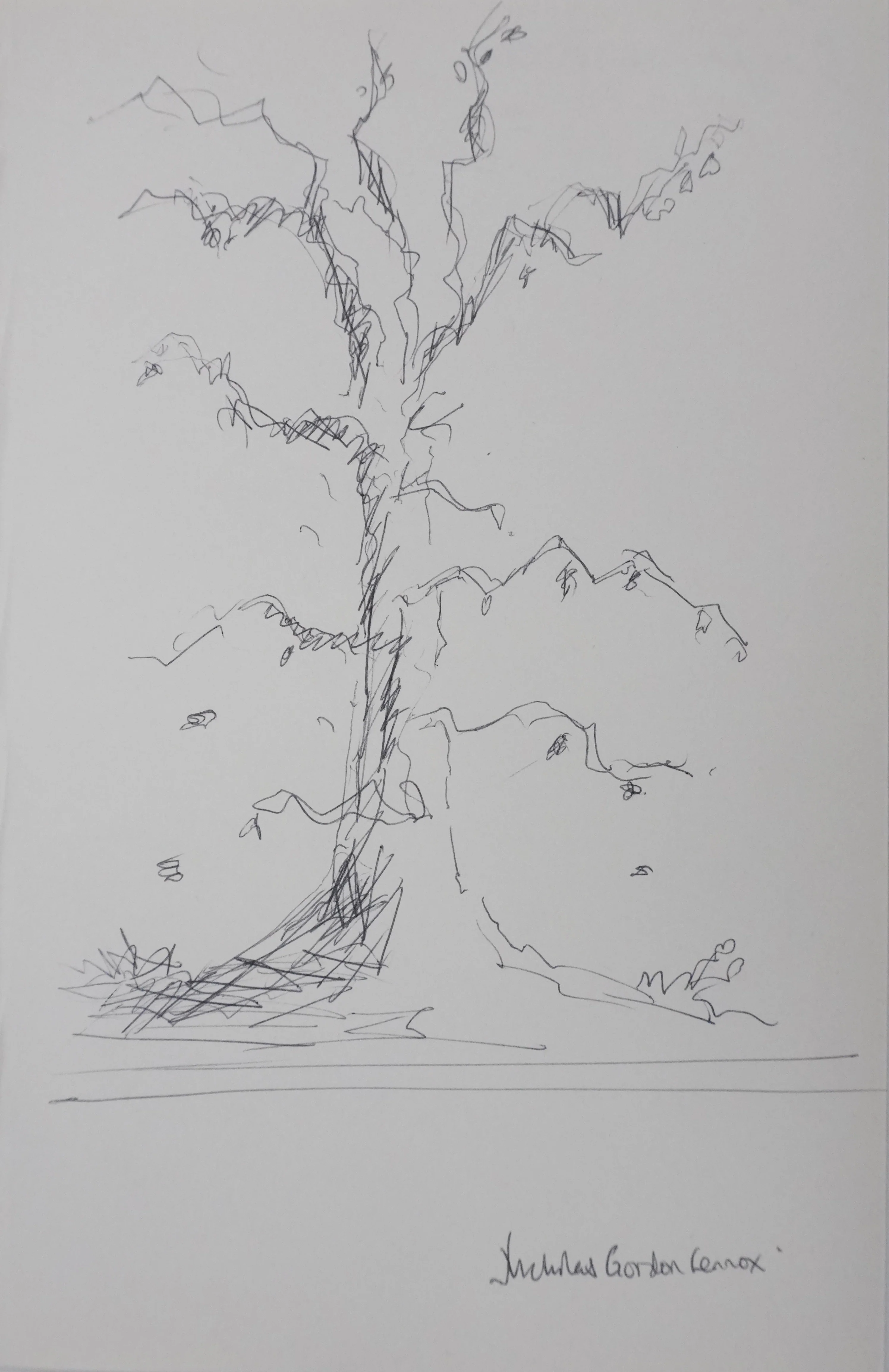 Charles GORDON-LENNOX : Les branches noires, Autographe et dessin original signé