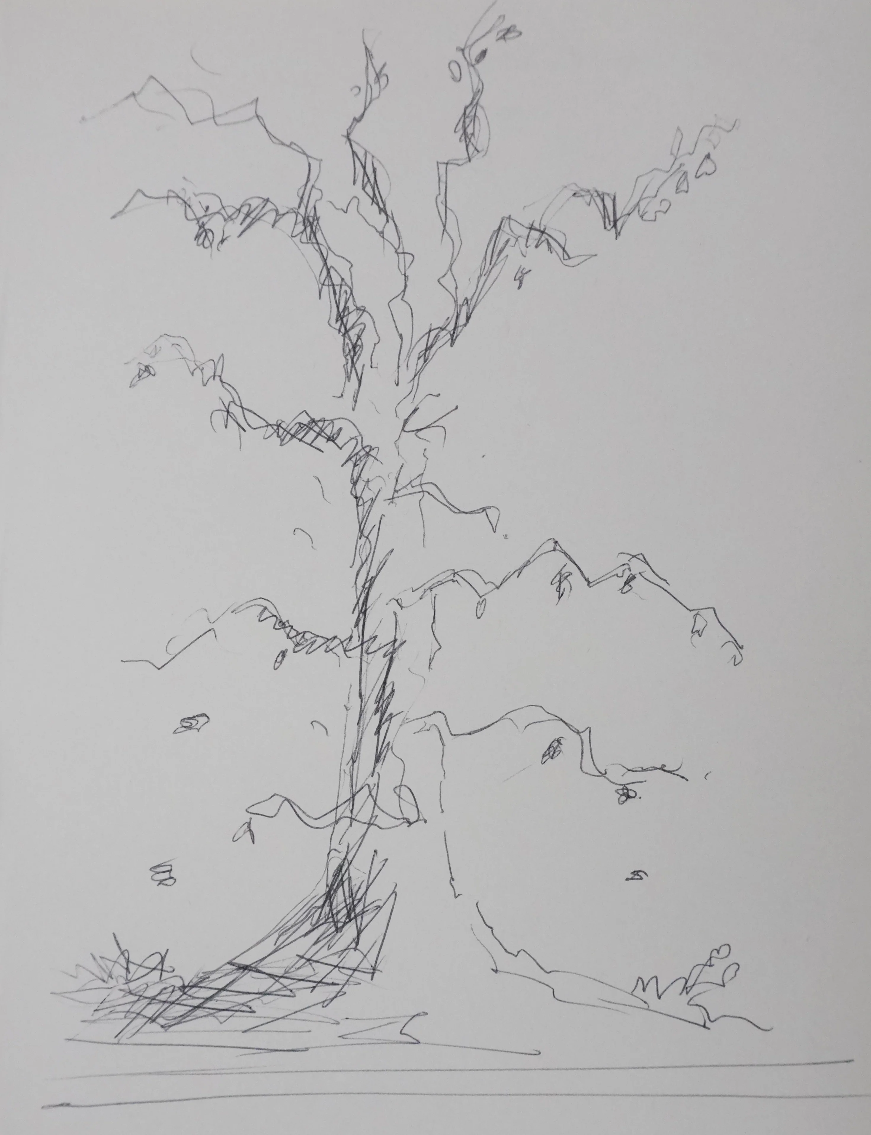 Charles GORDON-LENNOX : Les branches noires, Autographe et dessin original signé - Image 3