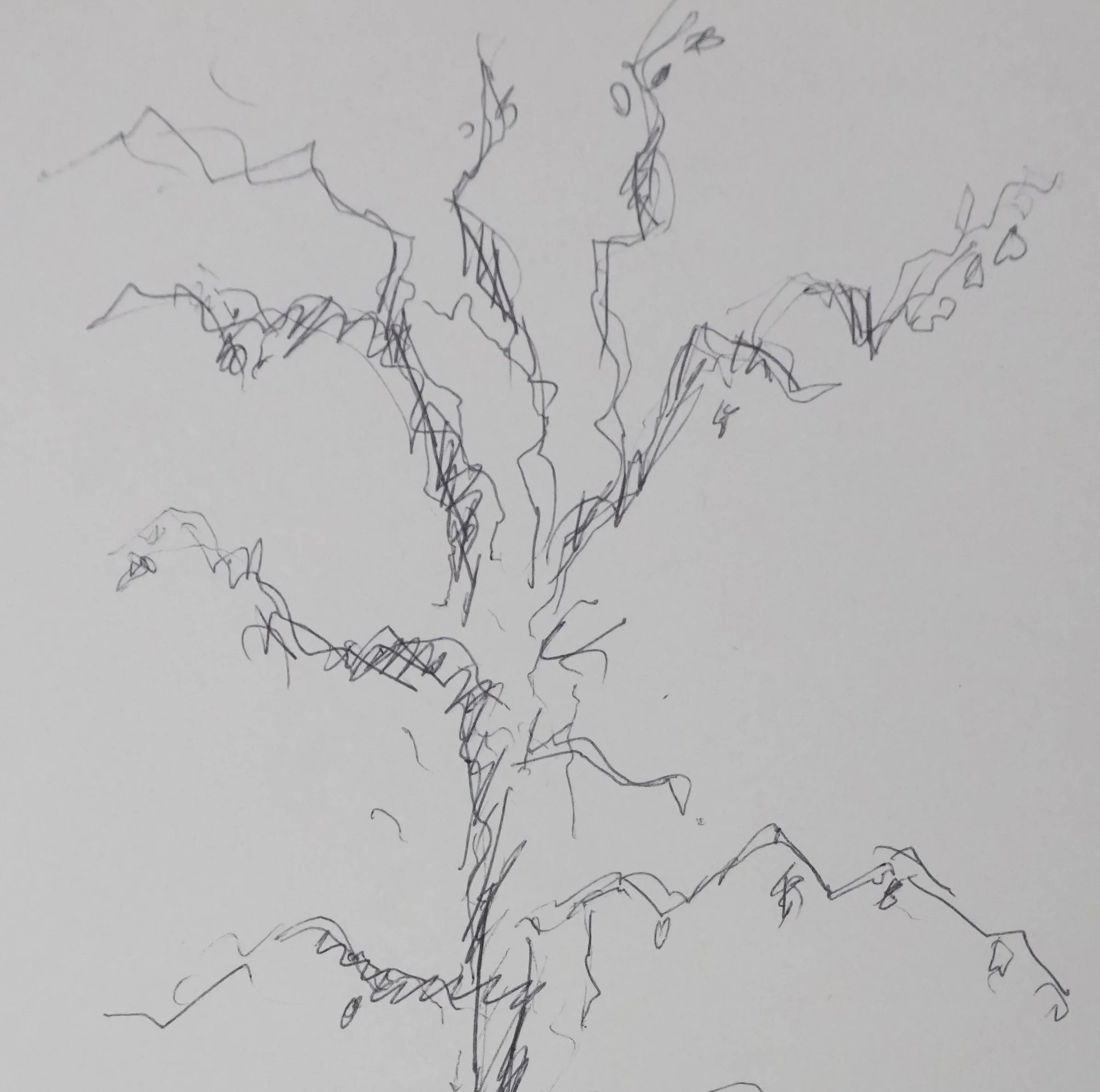 Charles GORDON-LENNOX : Les branches noires, Autographe et dessin original signé - Image 4