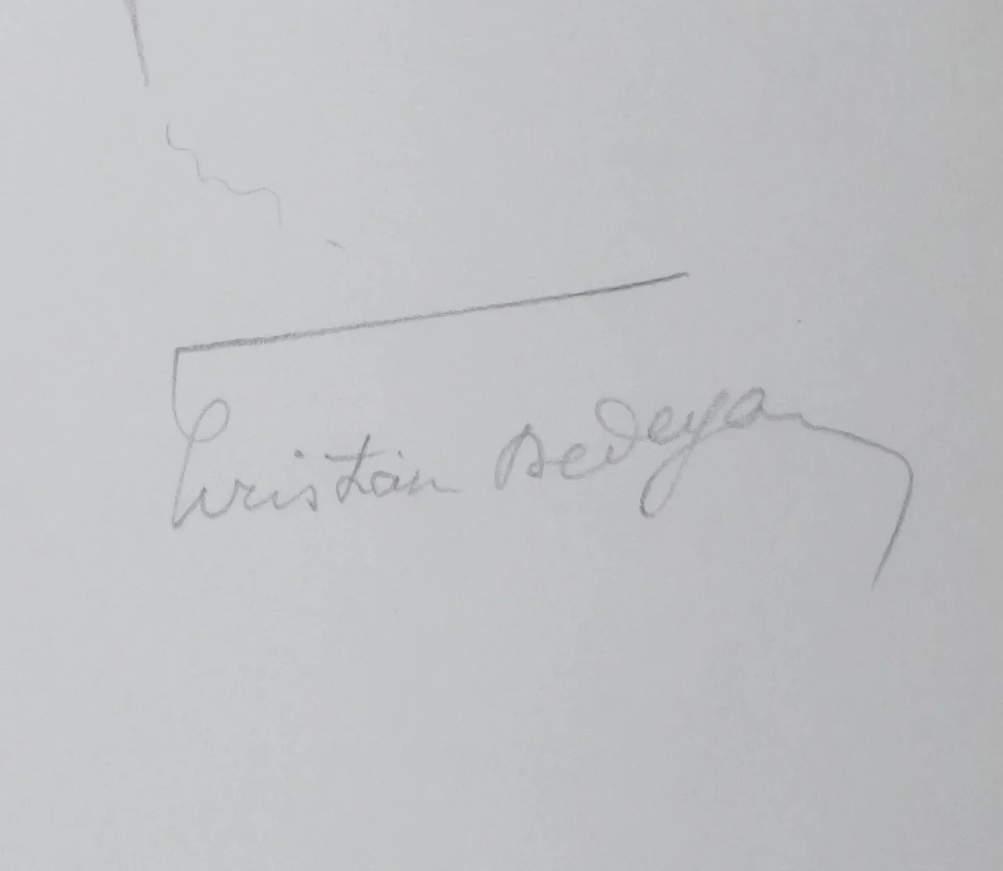 Christian DEDEYAN : L'arbre grisonnant, Autographe et dessin original signé - Image 2