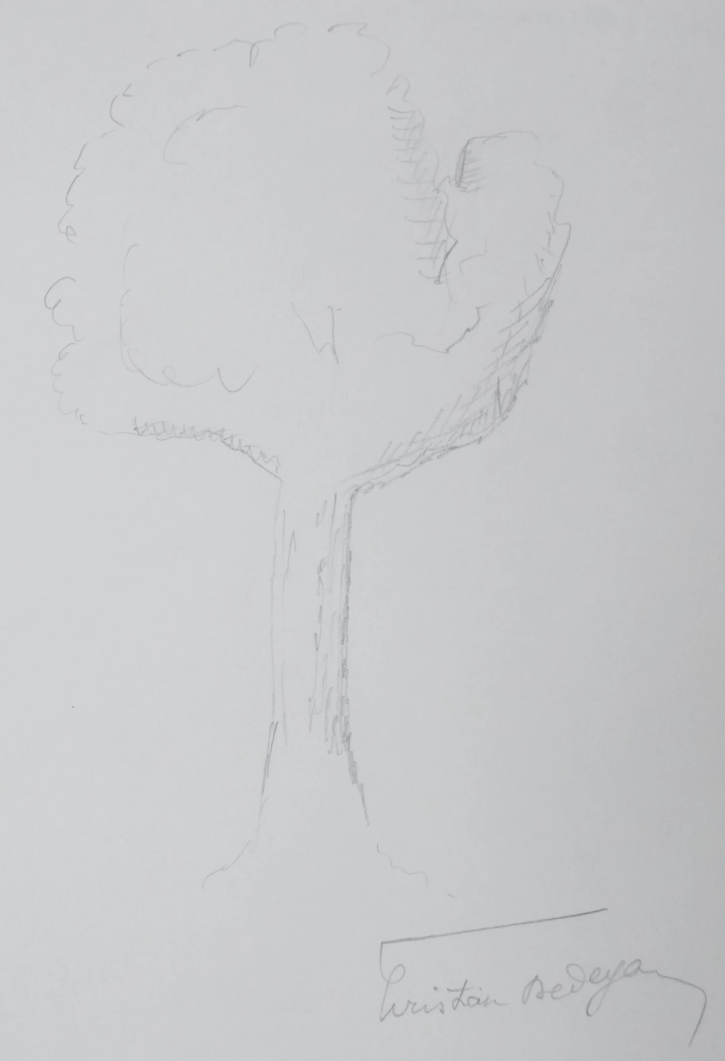 Christian DEDEYAN : L'arbre grisonnant, Autographe et dessin original signé - Image 3