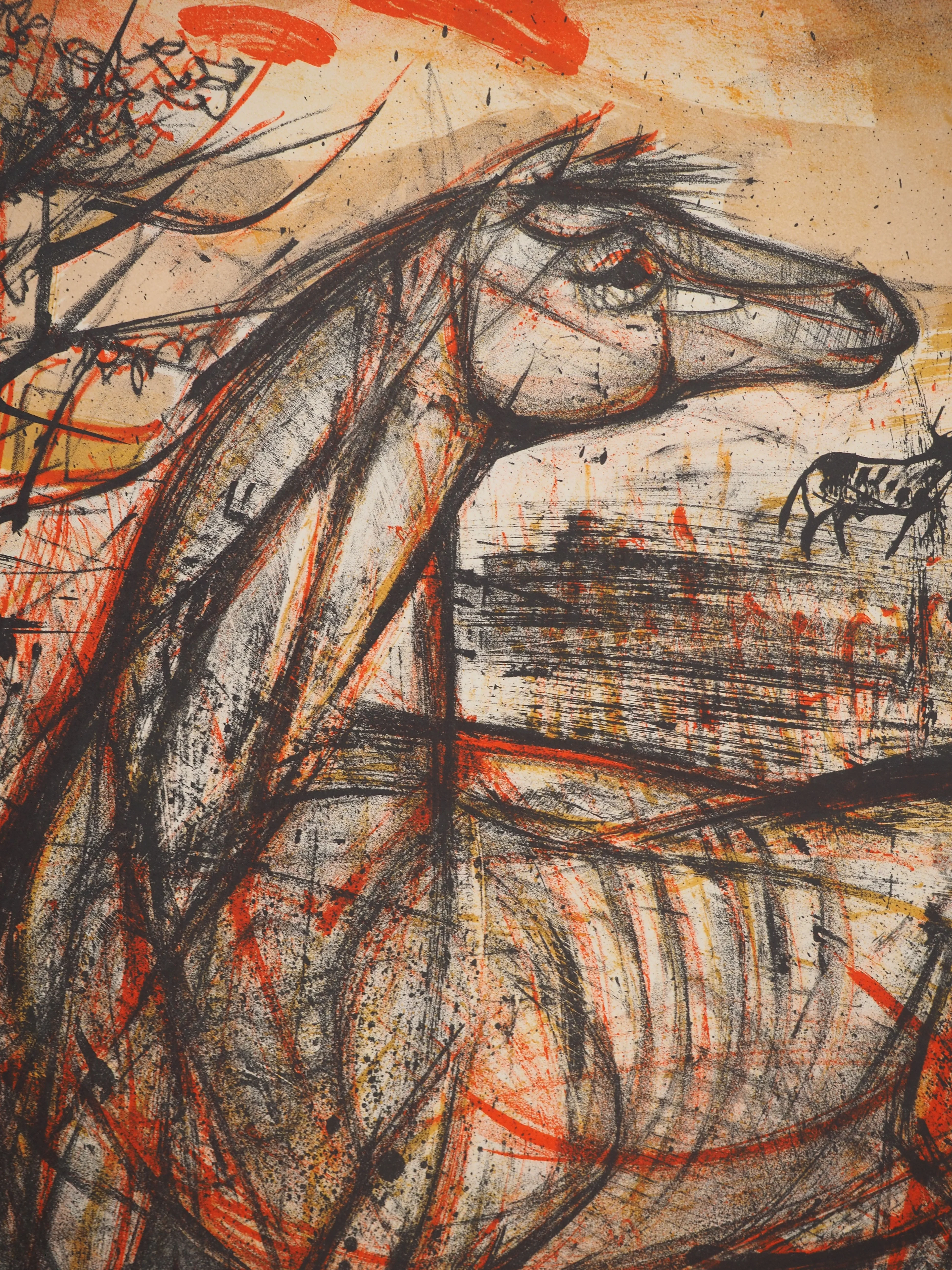 Claude GROSPERRIN : L'étalon de la forêt, Lithographie originale signée - Image 5