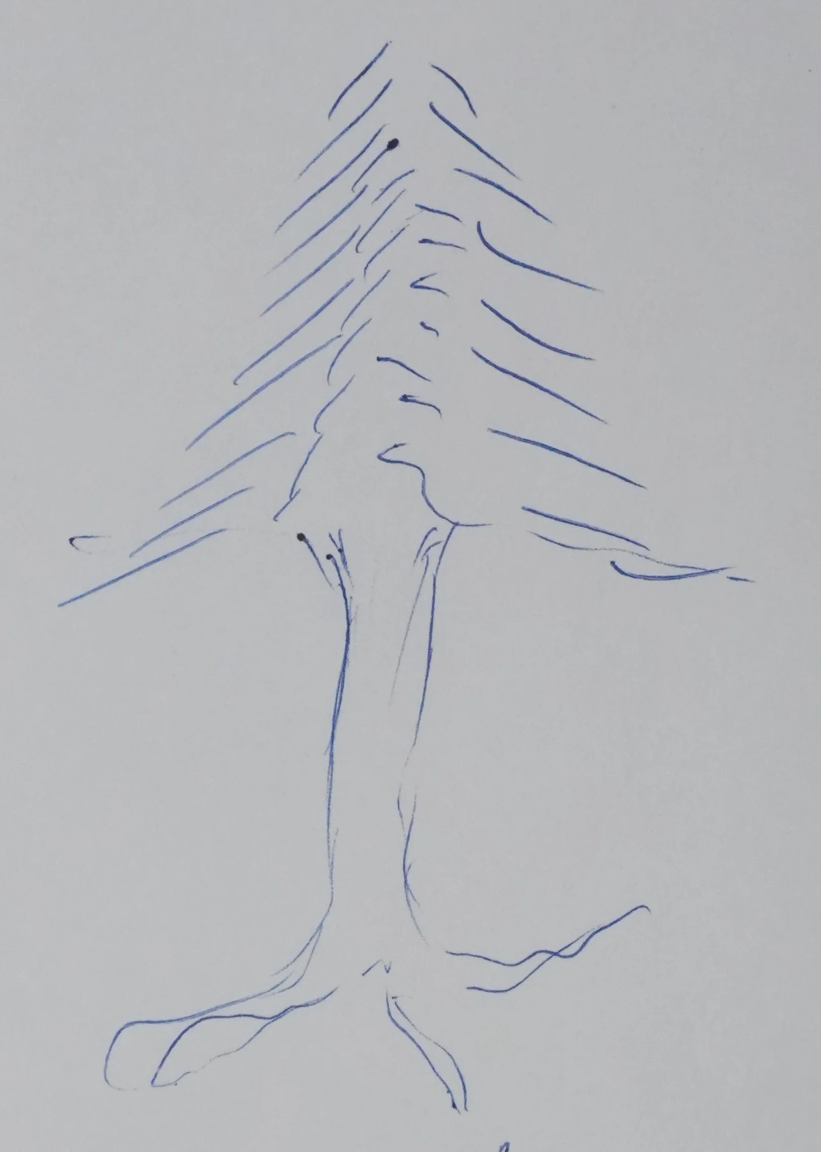Claude VALERY : L'arbre en bleu, Autographe et dessin original signé - Image 4