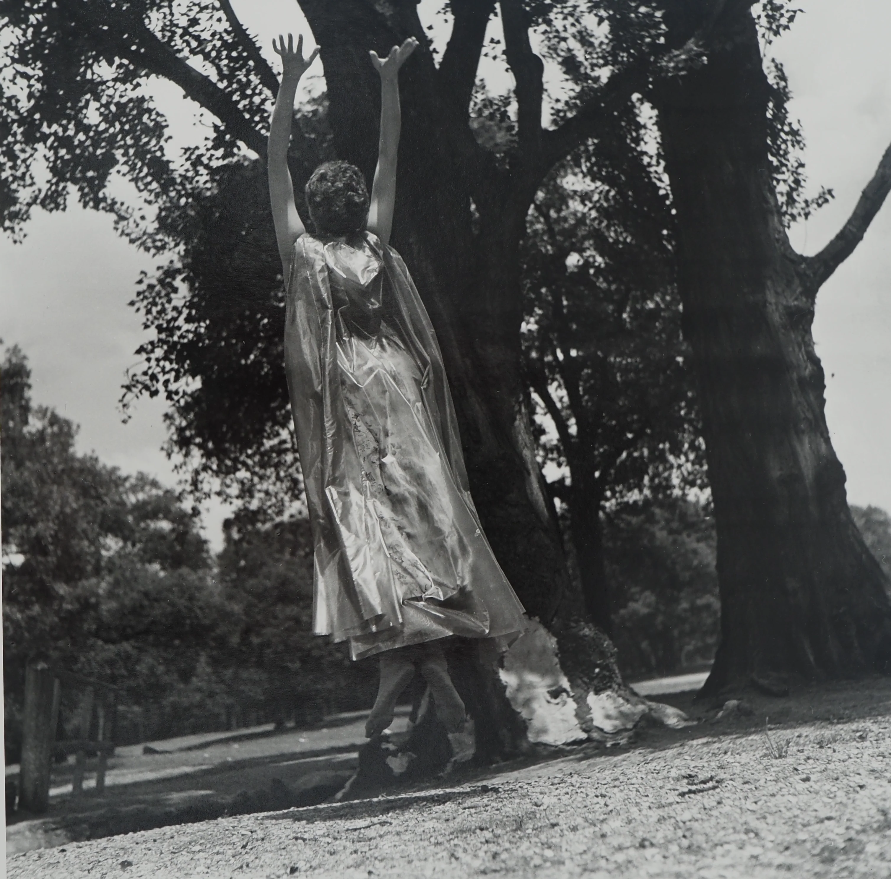 Dora MAAR : Reconnexion avec la nature, Photographie originale - Image 3