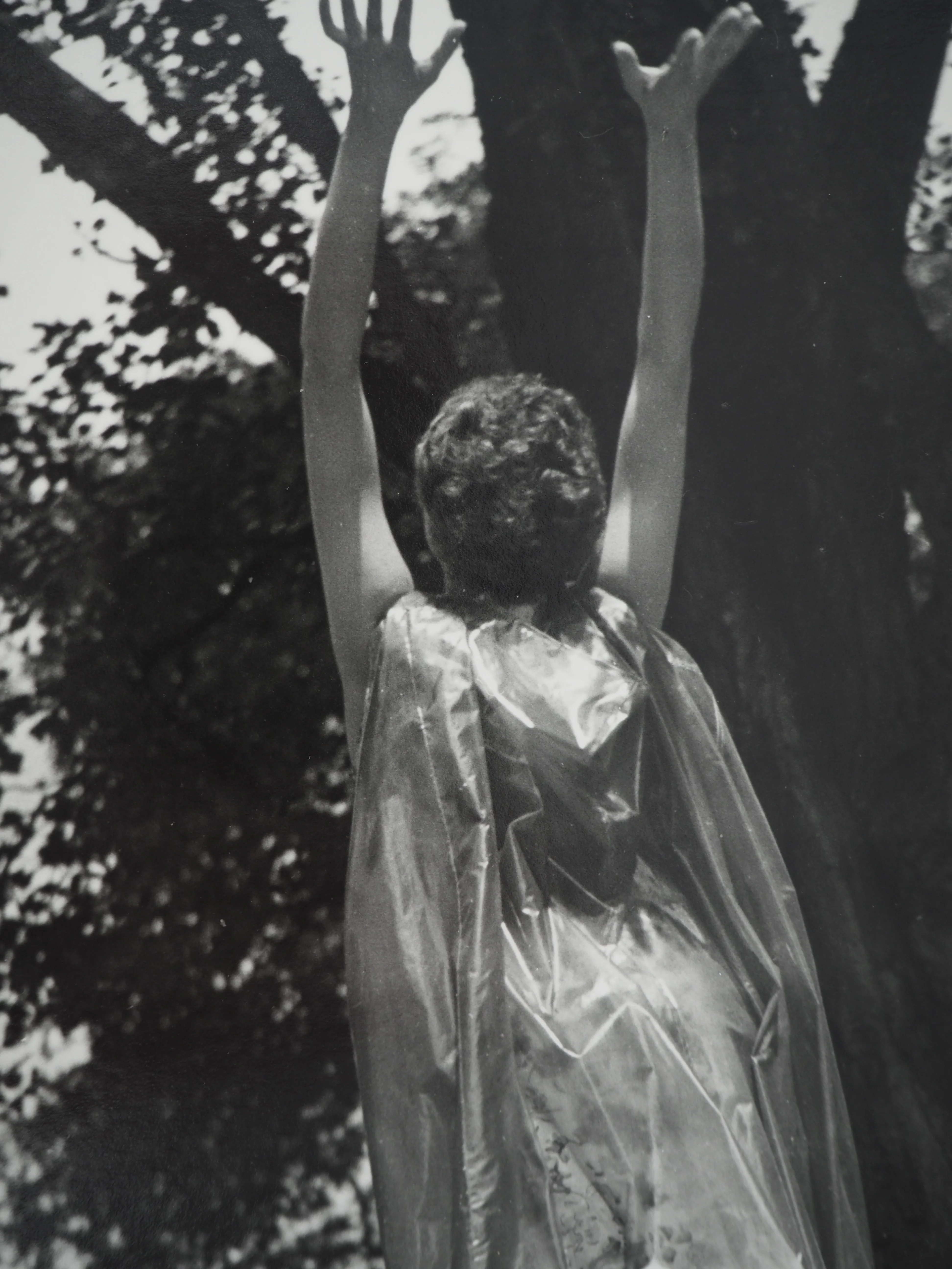 Dora MAAR : Reconnexion avec la nature, Photographie originale - Image 4