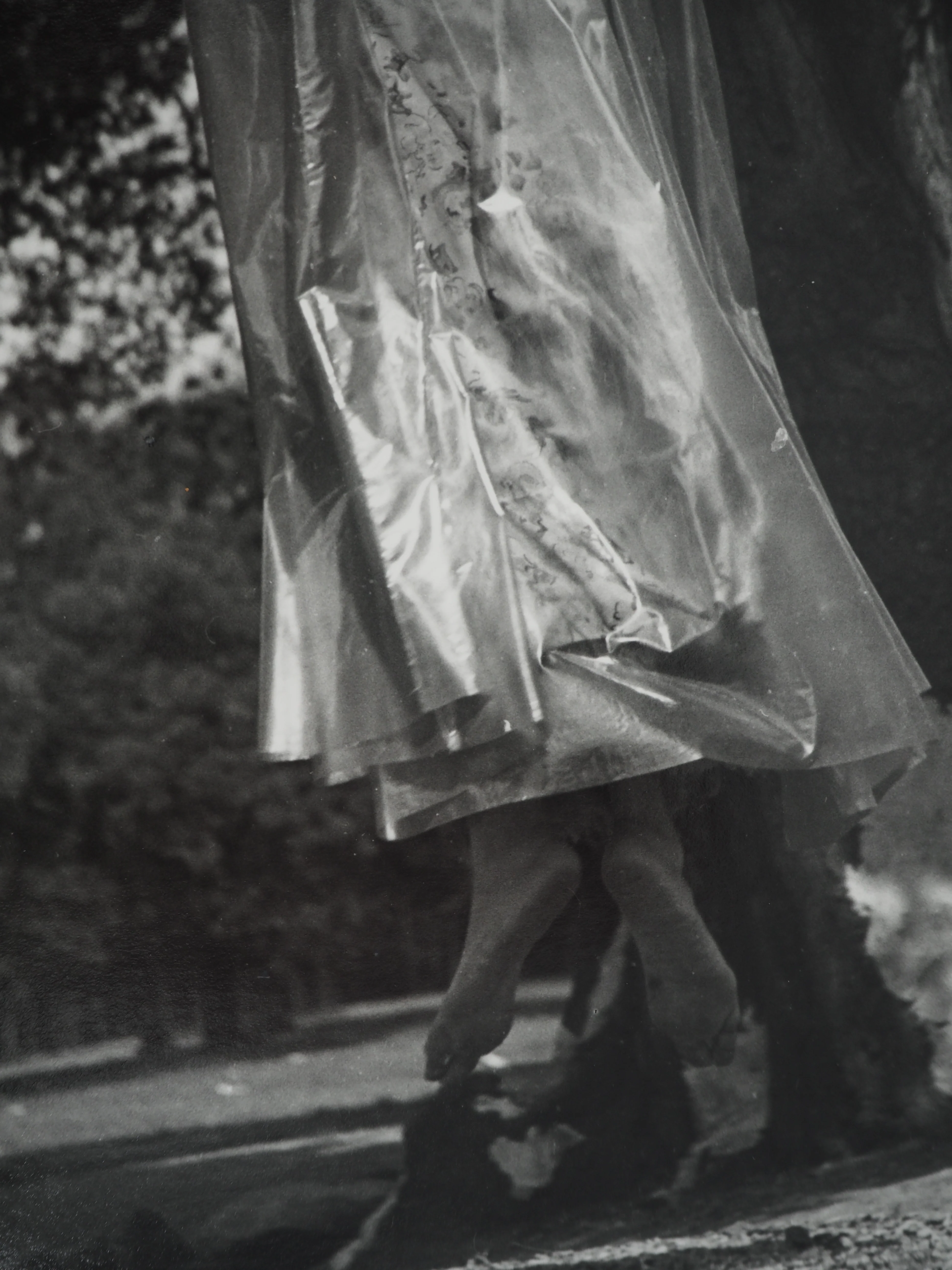 Dora MAAR : Reconnexion avec la nature, Photographie originale - Image 5