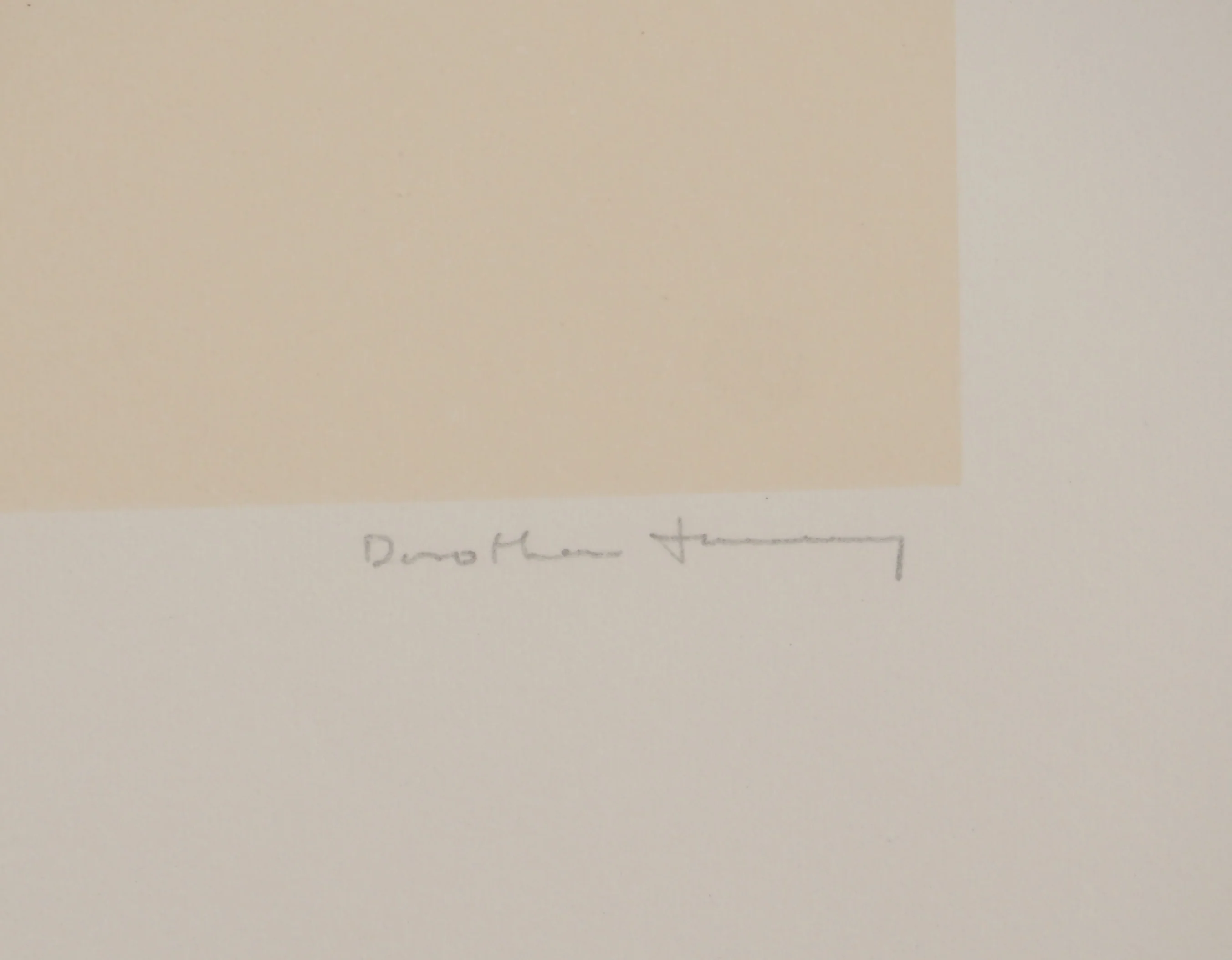 Dorothea TANNING : Jean, Lithographie originale signée - Image 2