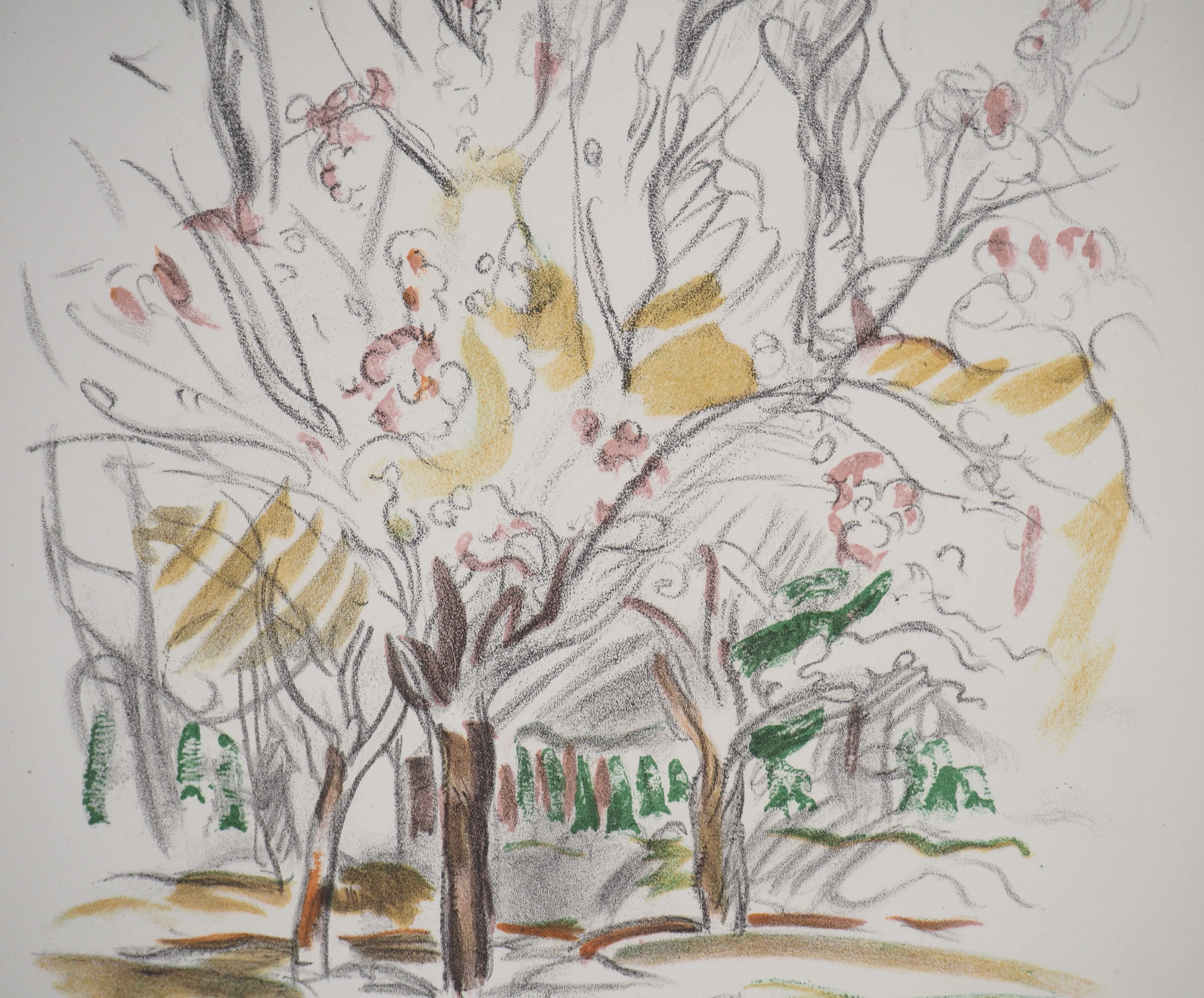 Emile OTHON FRIESZ : Le parc au printemps, Lithographie originale - Image 3