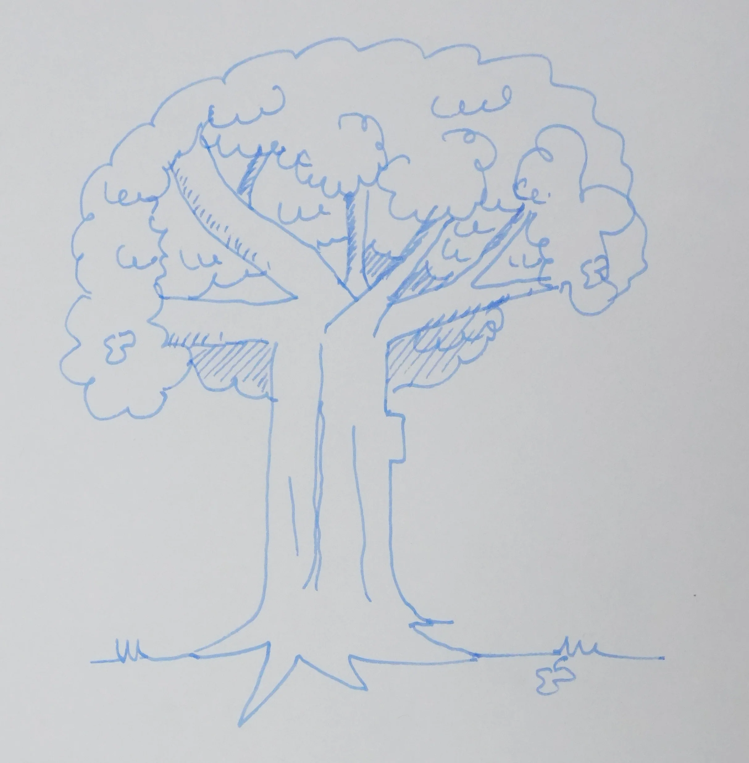 Erwan BERGOT : Le bois bleu, Autographe et dessin original signé - Image 2
