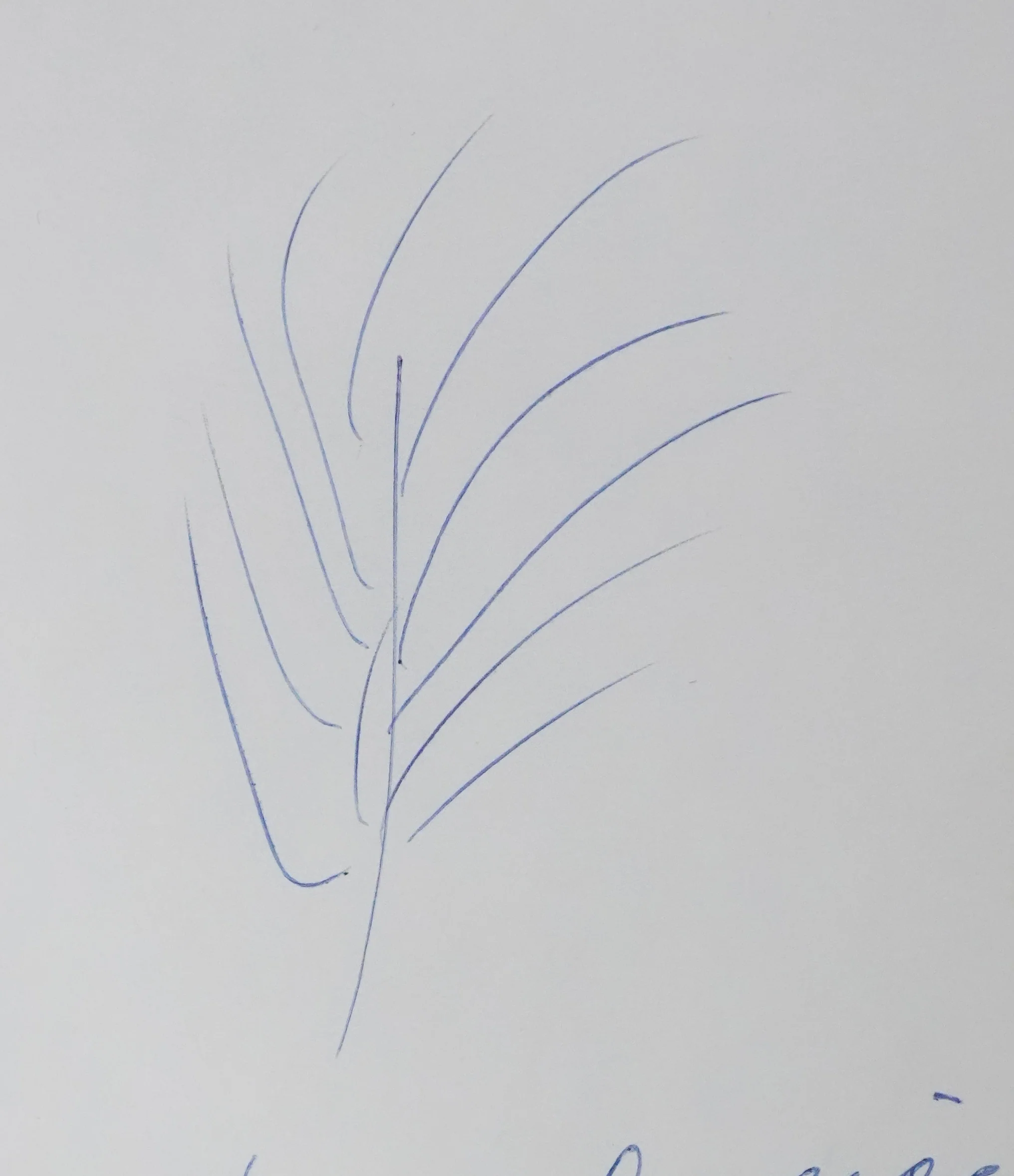 Eve DELACROIX : La branche dans le vent, Autographe et dessin original signé - Image 4